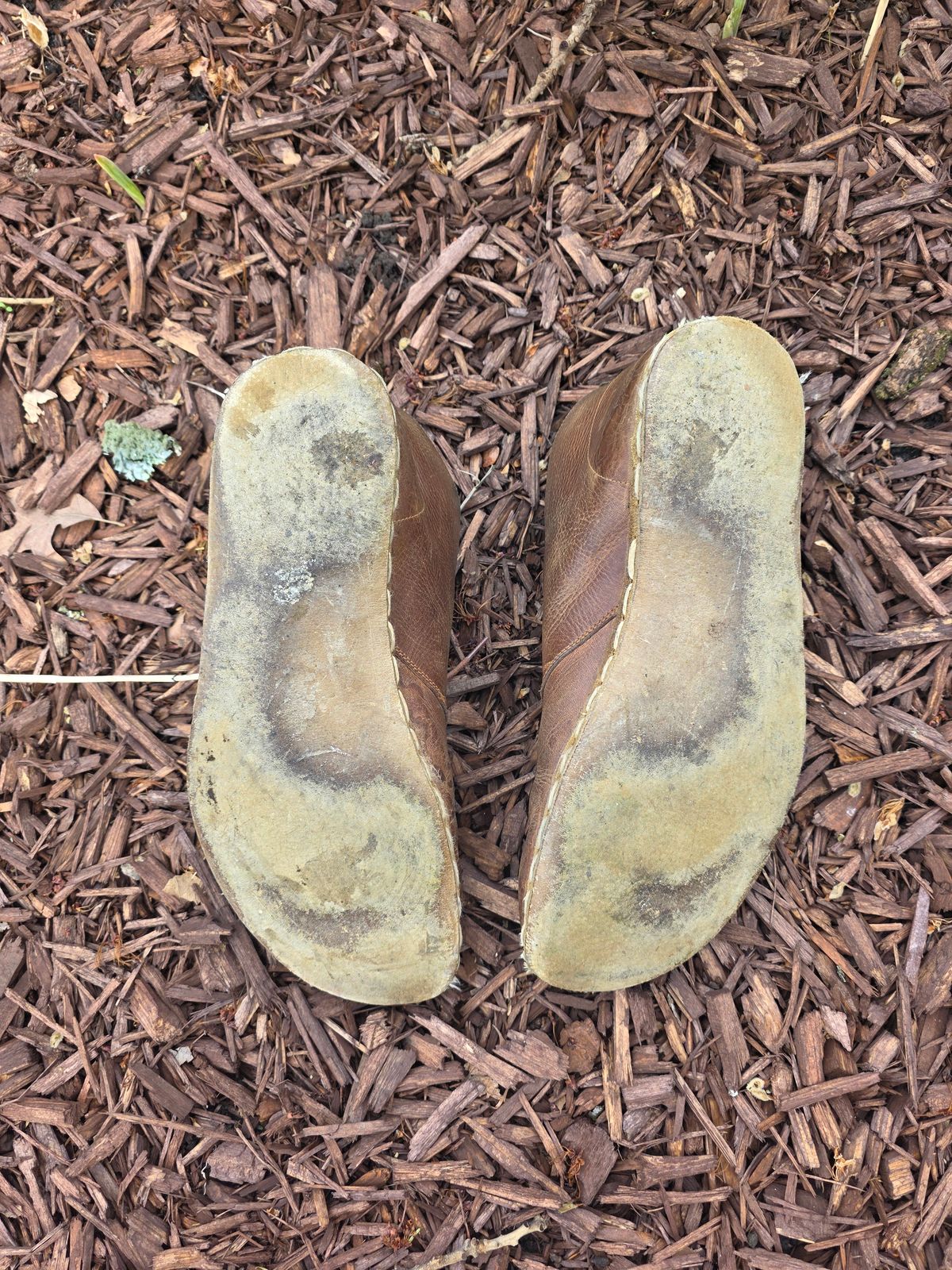 Photo by luekenator on April 2, 2026 of the Atlantis Handmade Shoes Oxford Barefoot Ankle Boots in Zaragoza Brown.