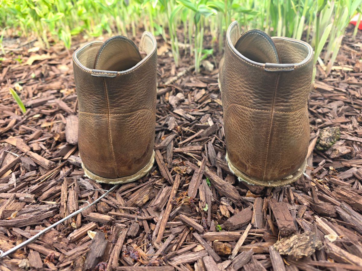 Photo by luekenator on April 2, 2026 of the Atlantis Handmade Shoes Oxford Barefoot Ankle Boots in Zaragoza Brown.