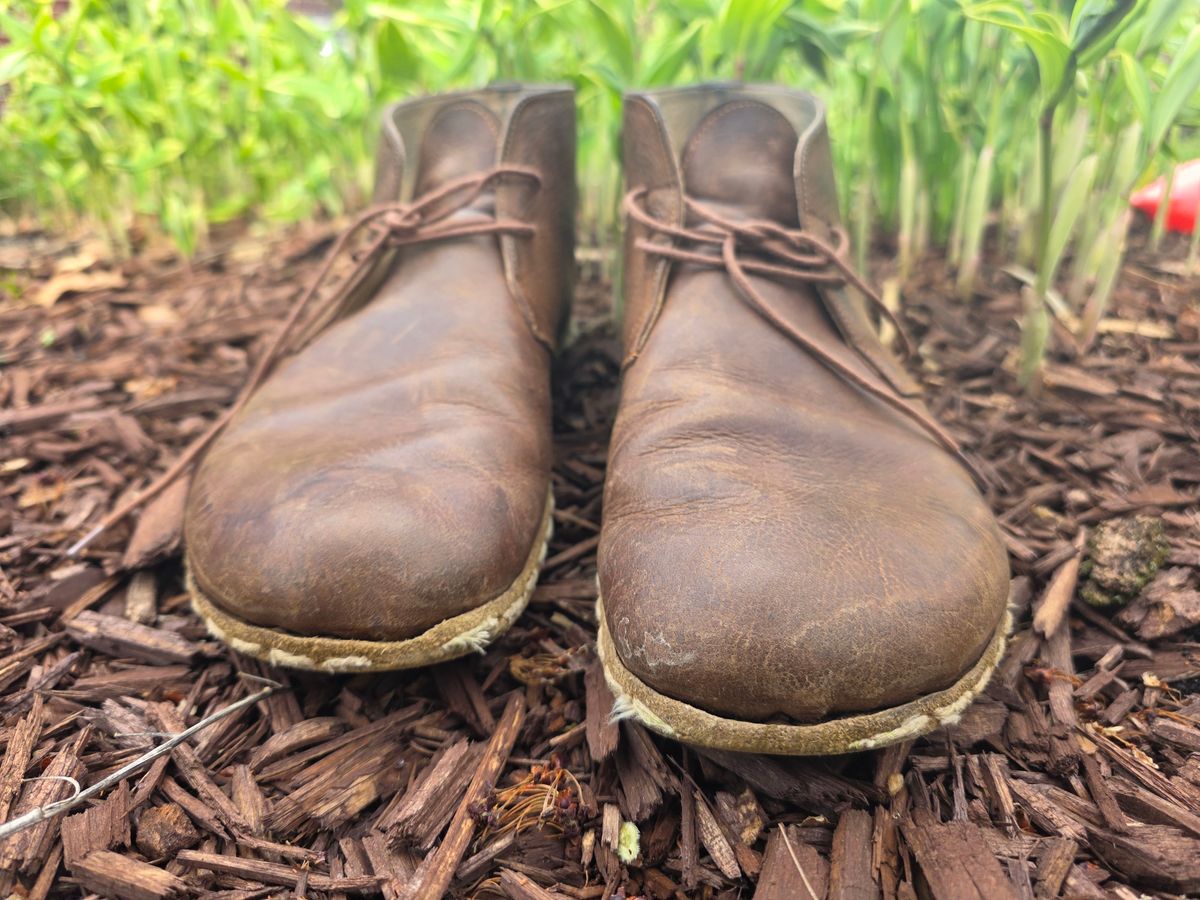 Photo by luekenator on April 2, 2026 of the Atlantis Handmade Shoes Oxford Barefoot Ankle Boots in Zaragoza Brown.