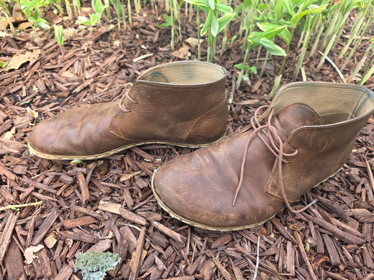 Photo by luekenator on April 2, 2026 of the Atlantis Handmade Shoes Oxford Barefoot Ankle Boots in Zaragoza Brown.