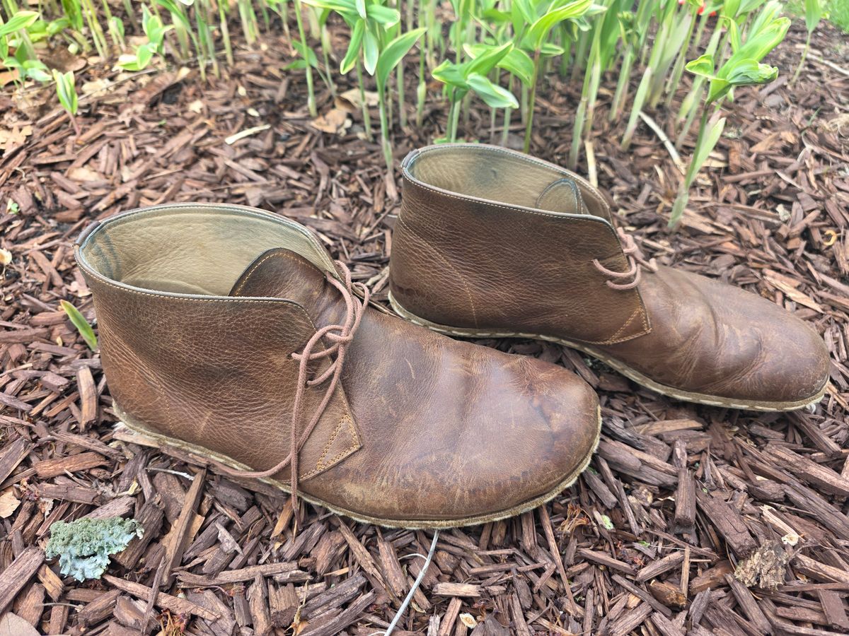 Photo by luekenator on April 2, 2026 of the Atlantis Handmade Shoes Oxford Barefoot Ankle Boots in Zaragoza Brown.