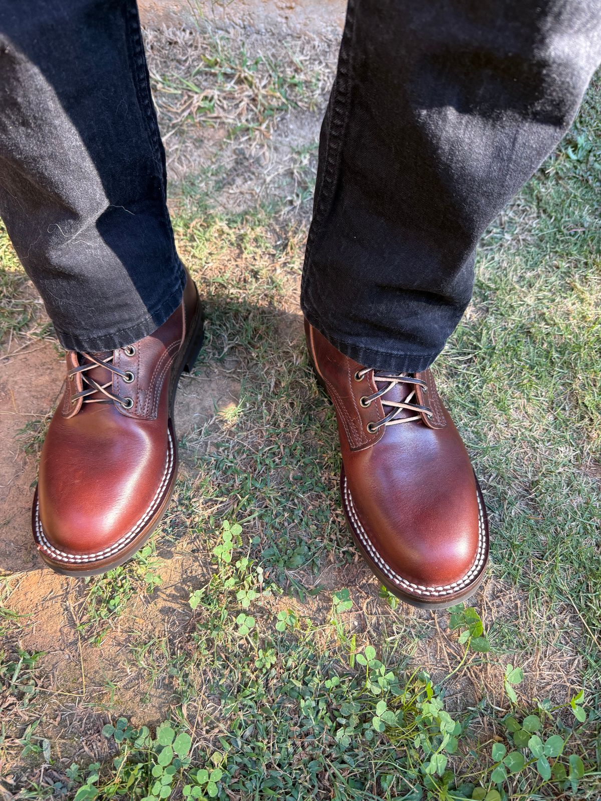 Photo by D1 on October 14, 2025 of the Nicks MTO in Italian Brown Cypress.