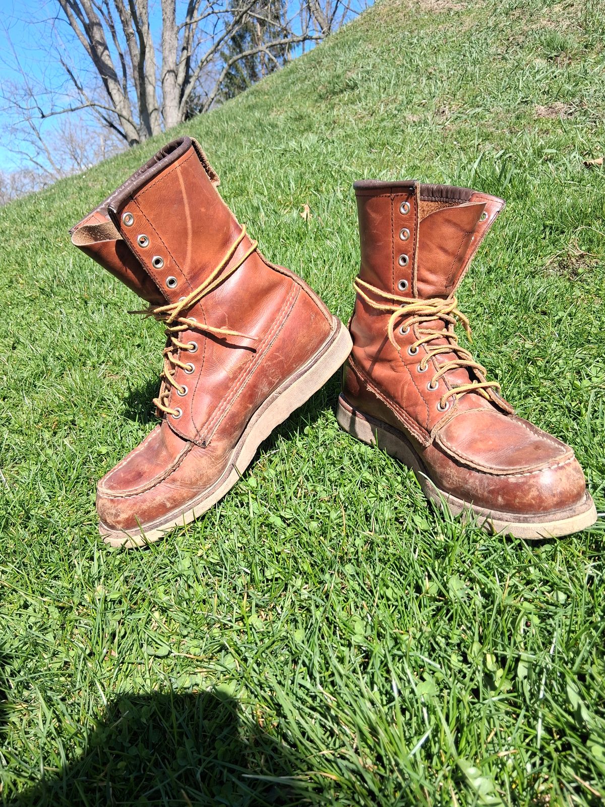 Photo by bootsndogs on April 11, 2026 of the Red Wing 877 in S.B. Foot Oro Legacy.