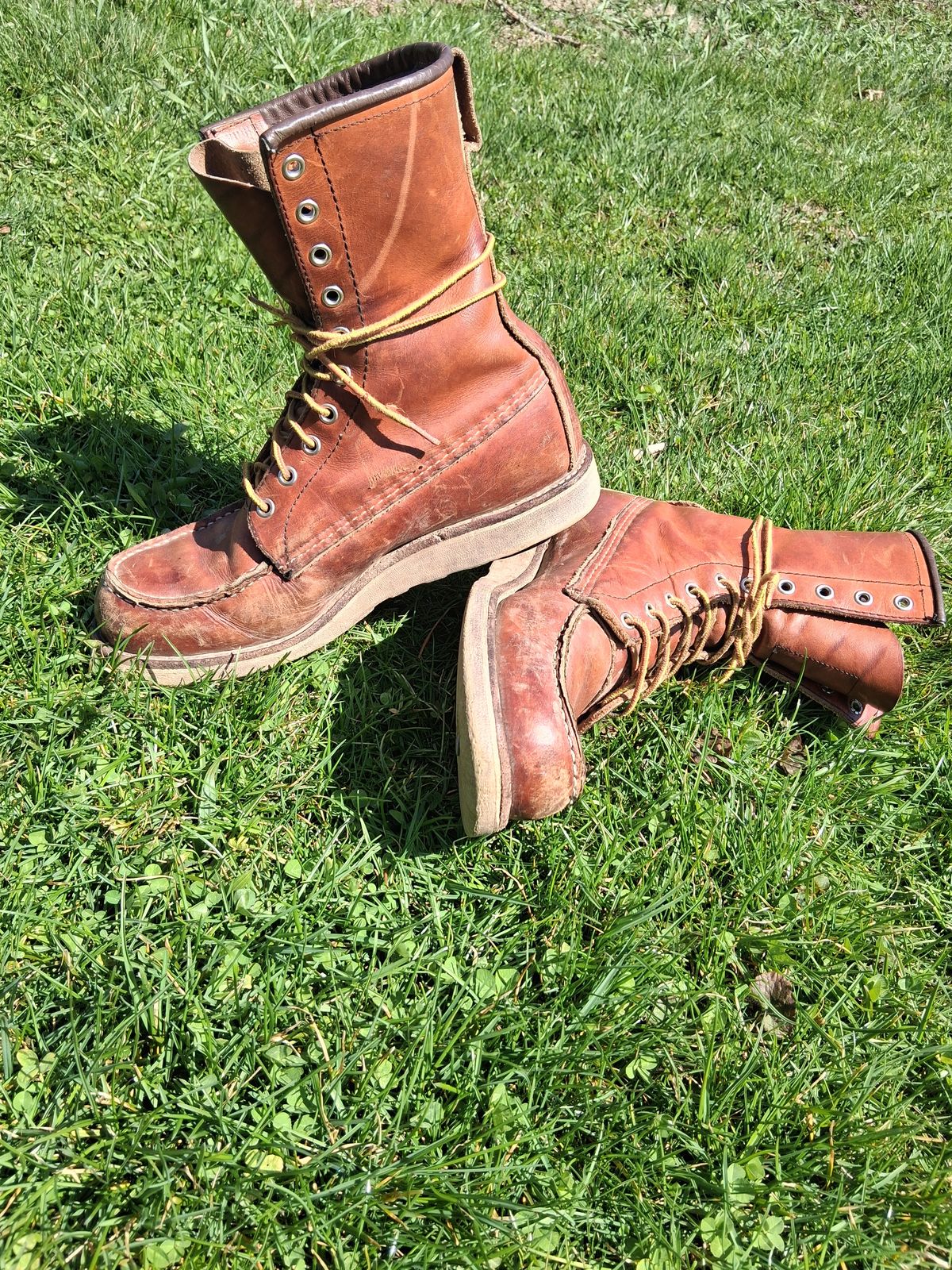 Photo by bootsndogs on April 11, 2026 of the Red Wing 877 in S.B. Foot Oro Legacy.