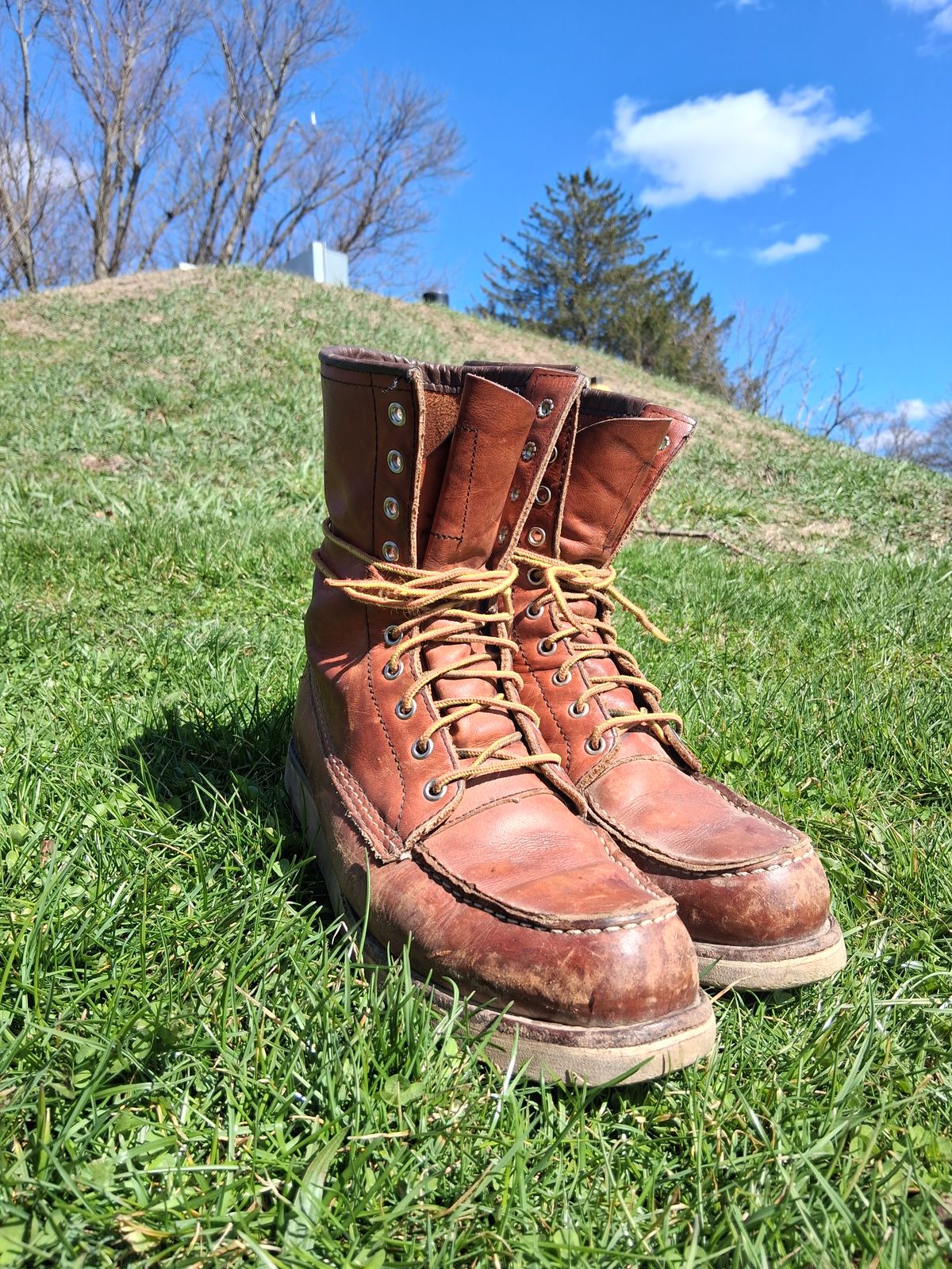 Photo by bootsndogs on April 11, 2026 of the Red Wing 877 in S.B. Foot Oro Legacy.