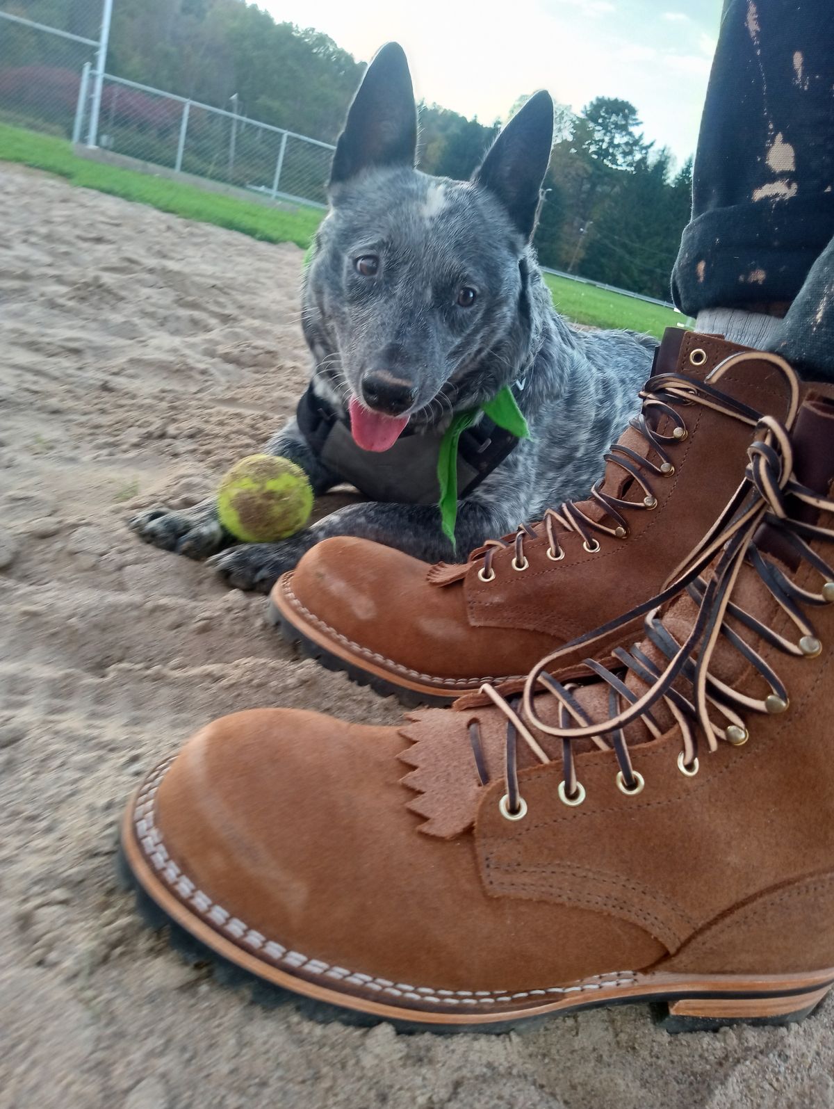 Photo by bootsndogs on October 1, 2024 of the Nicks BuilderPro in Seidel 1964 Brown Roughout.