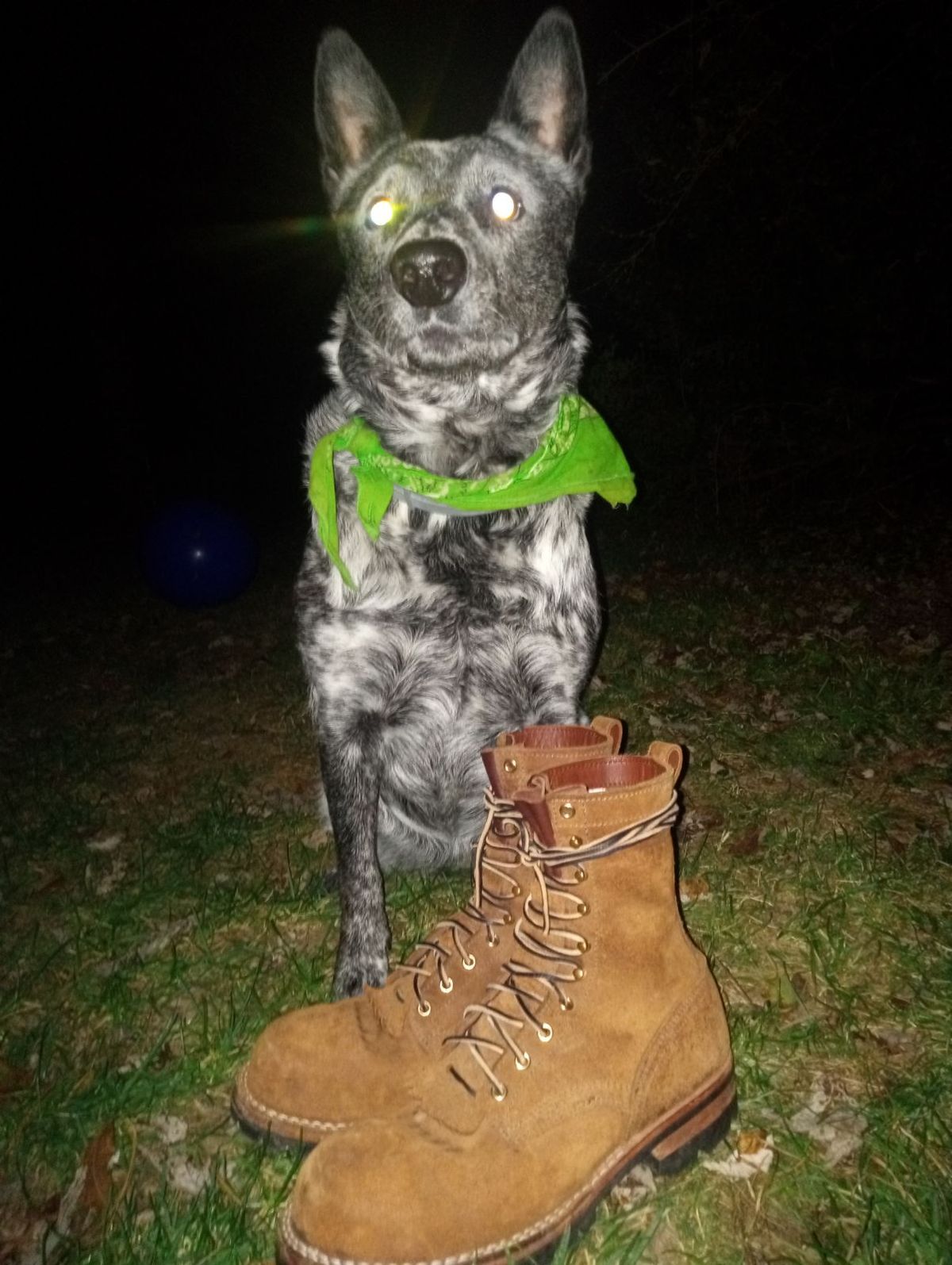 Photo by bootsndogs on November 6, 2024 of the Nicks BuilderPro in Seidel 1964 Brown Roughout.