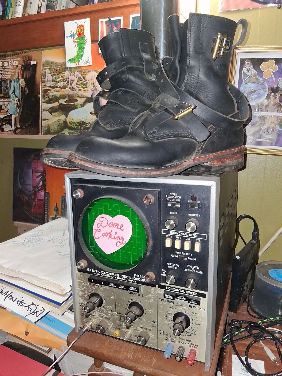 Photo by bootsndogs on November 5, 2025 of the Nicks TankerPro in Seidel 1964 Black.