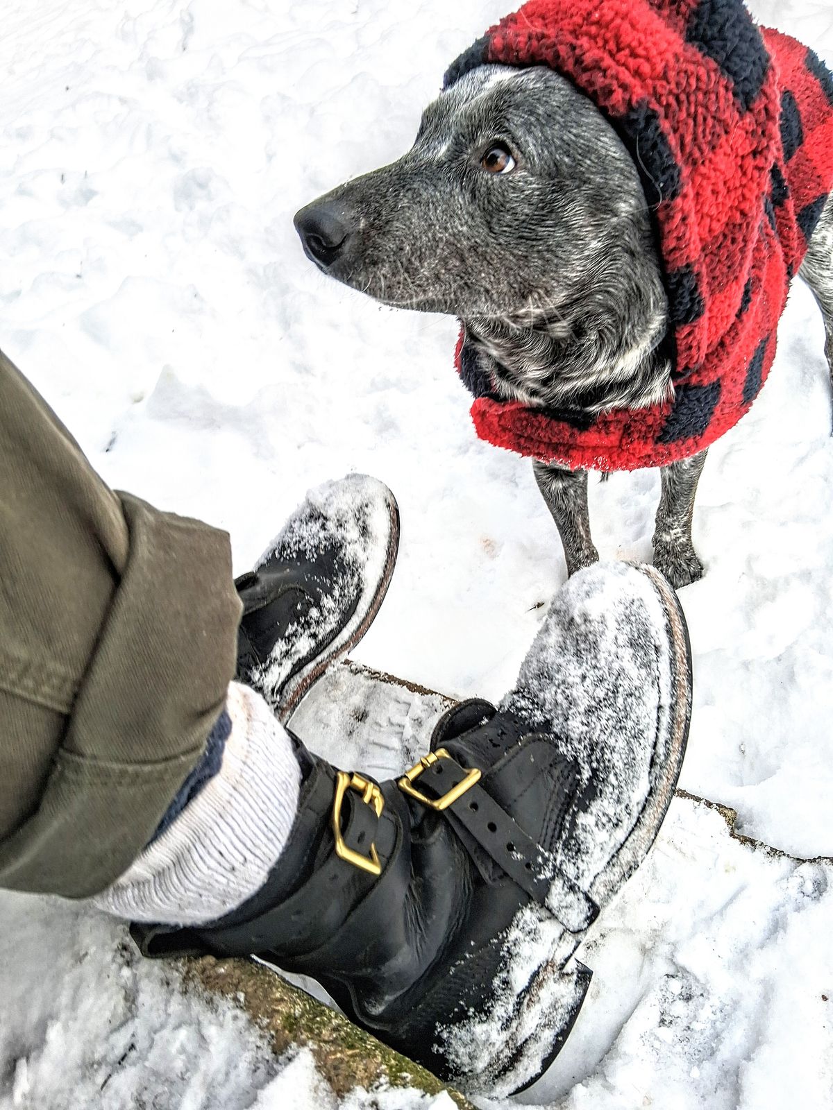Photo by bootsndogs on December 5, 2025 of the Nicks TankerPro in Seidel 1964 Black.
