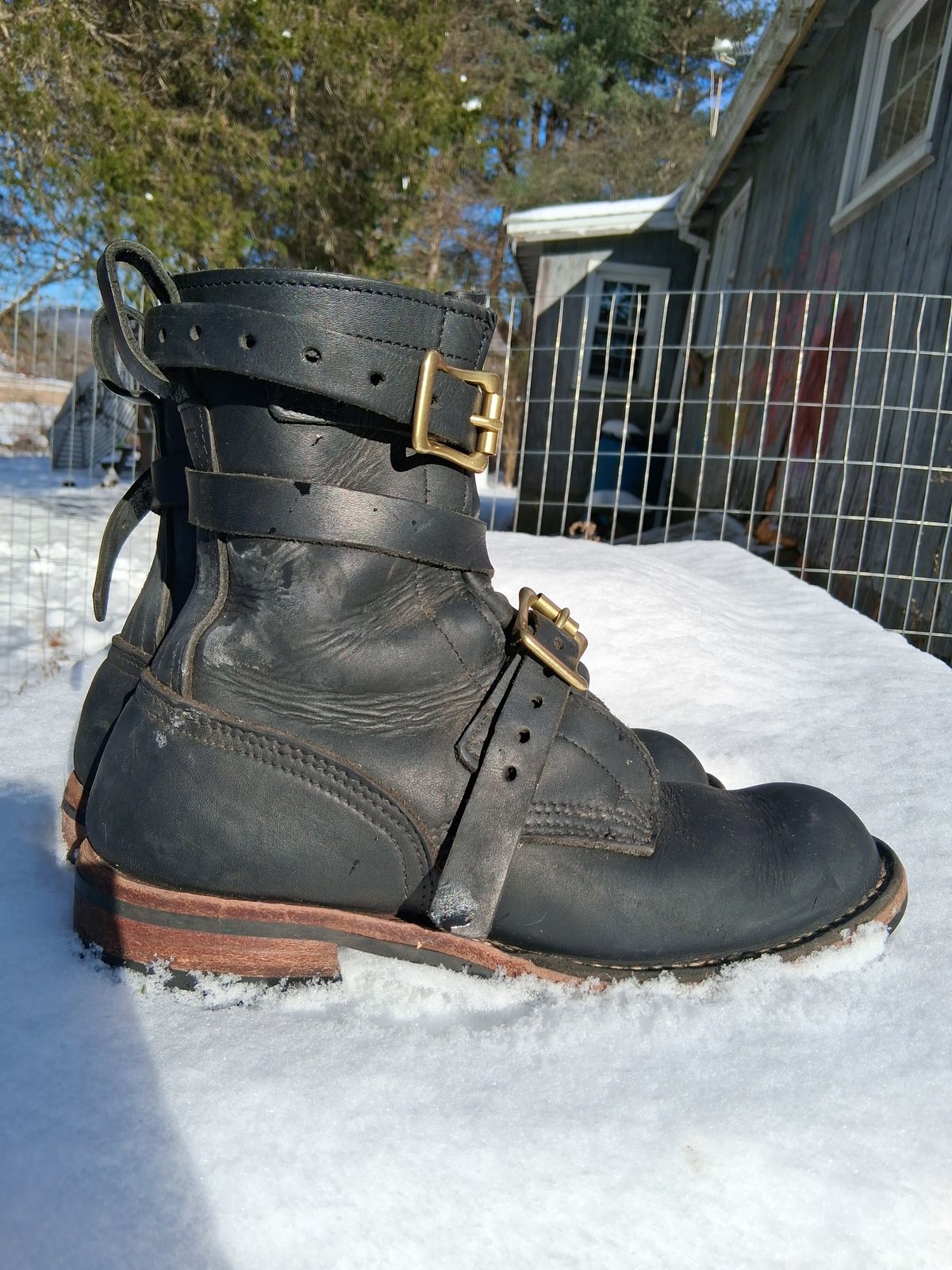 Photo by bootsndogs on December 5, 2025 of the Nicks TankerPro in Seidel 1964 Black.