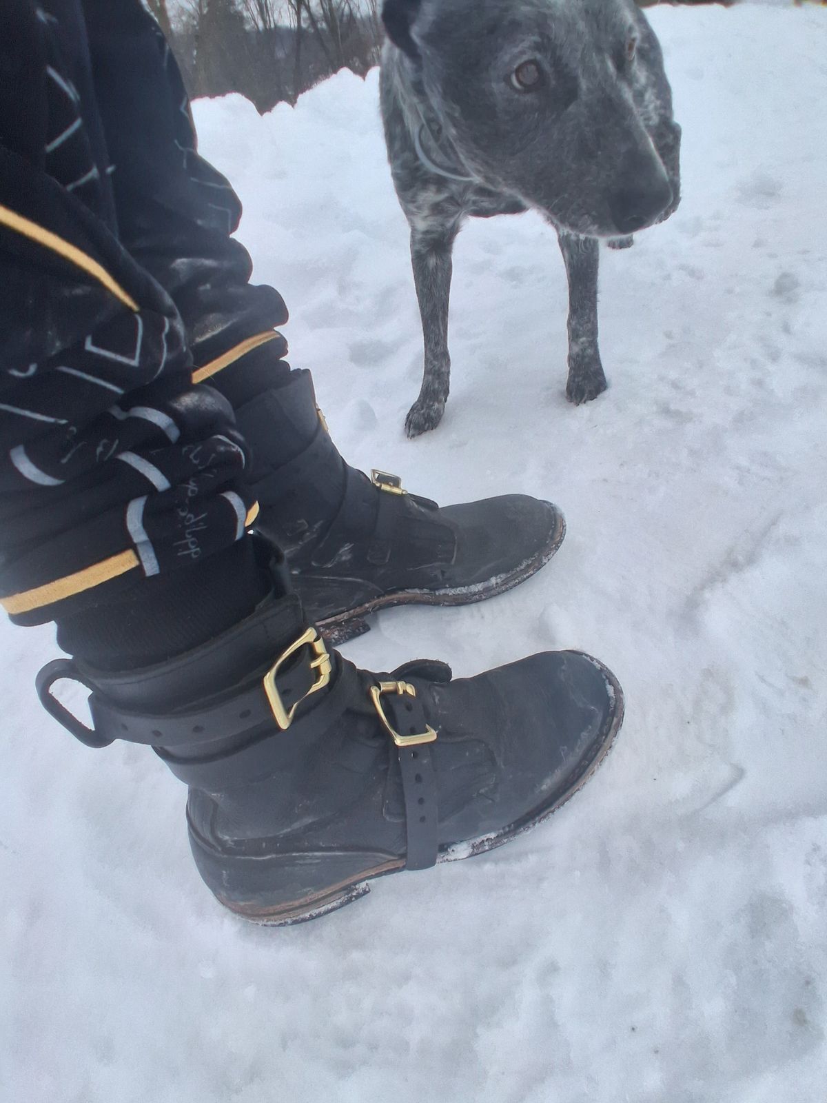 Photo by bootsndogs on February 2, 2026 of the Nicks TankerPro in Seidel 1964 Black.