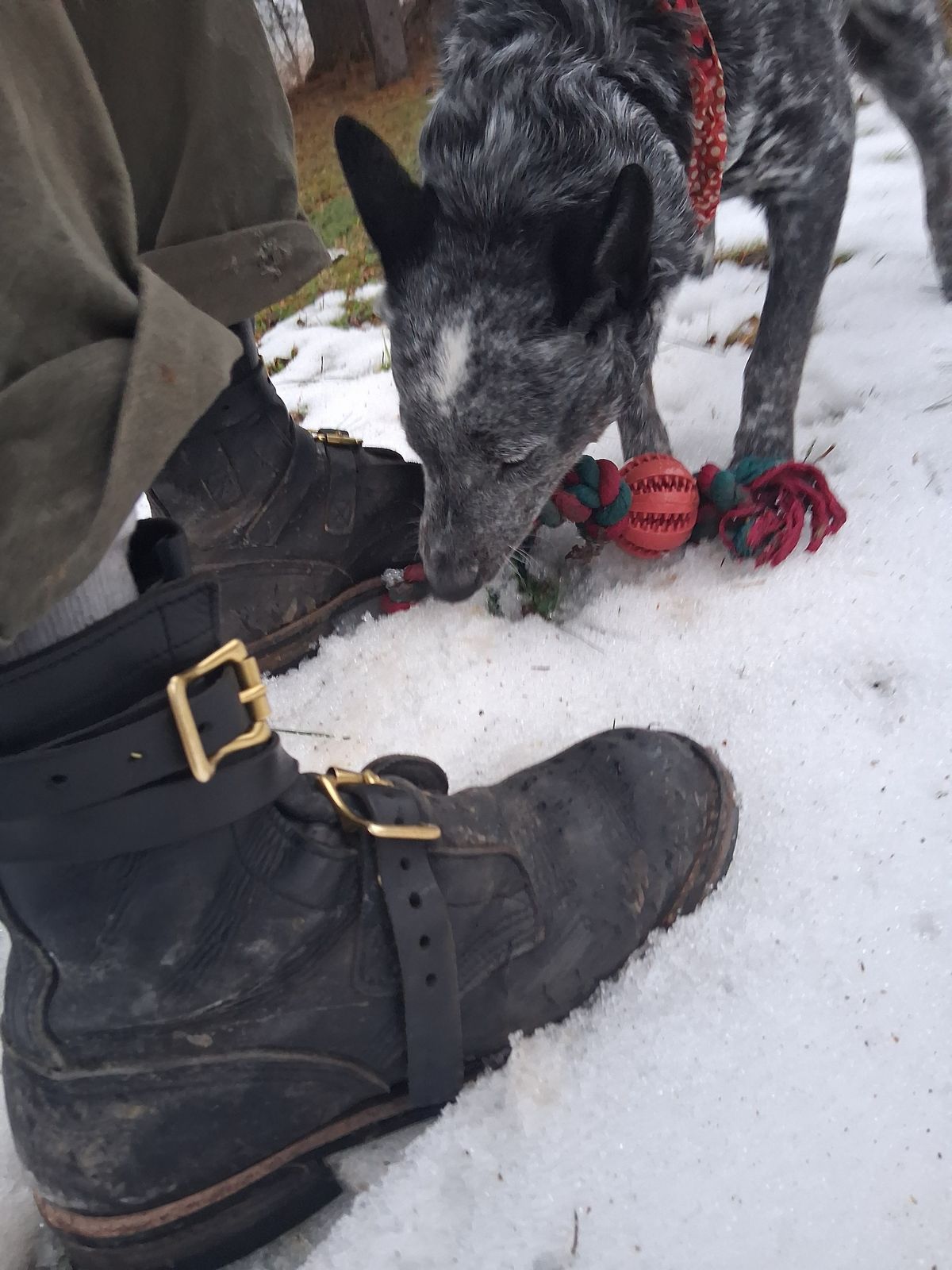 Photo by bootsndogs on March 5, 2026 of the Nicks TankerPro in Seidel 1964 Black.