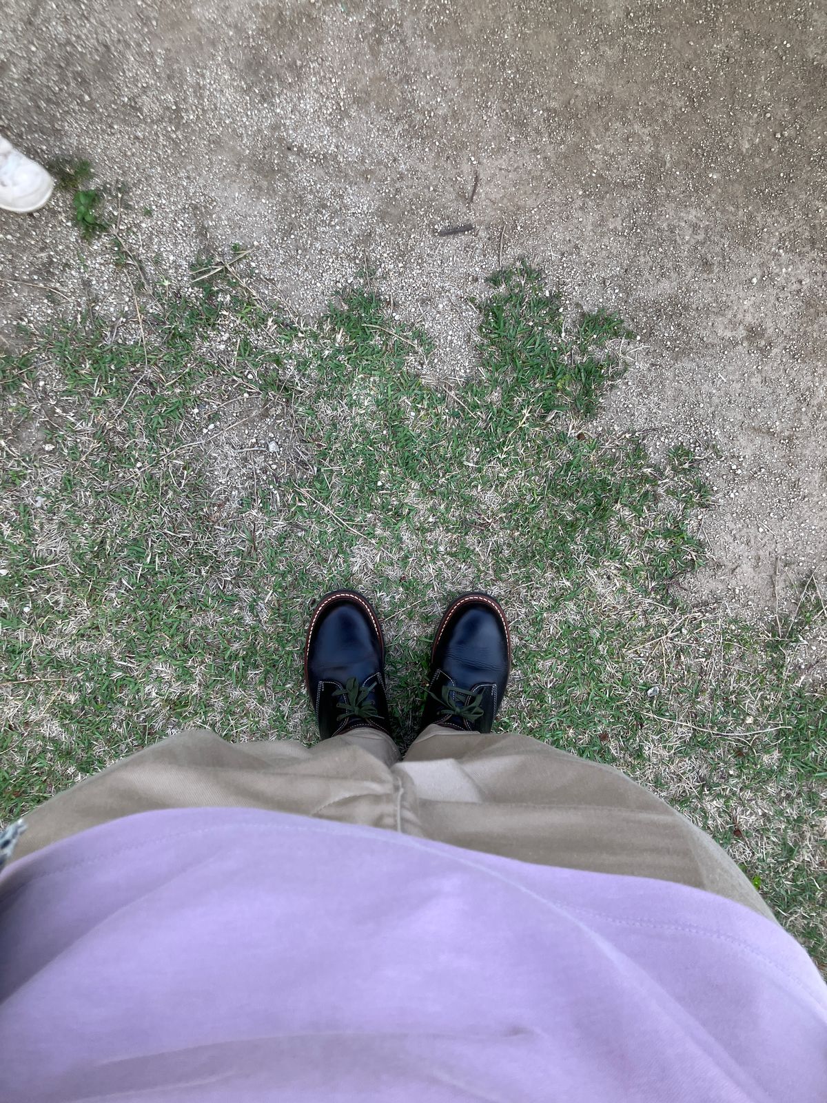 Photo by maru on May 5, 2025 of the Danner Moreland Oxford in Horween Black Chromexcel.