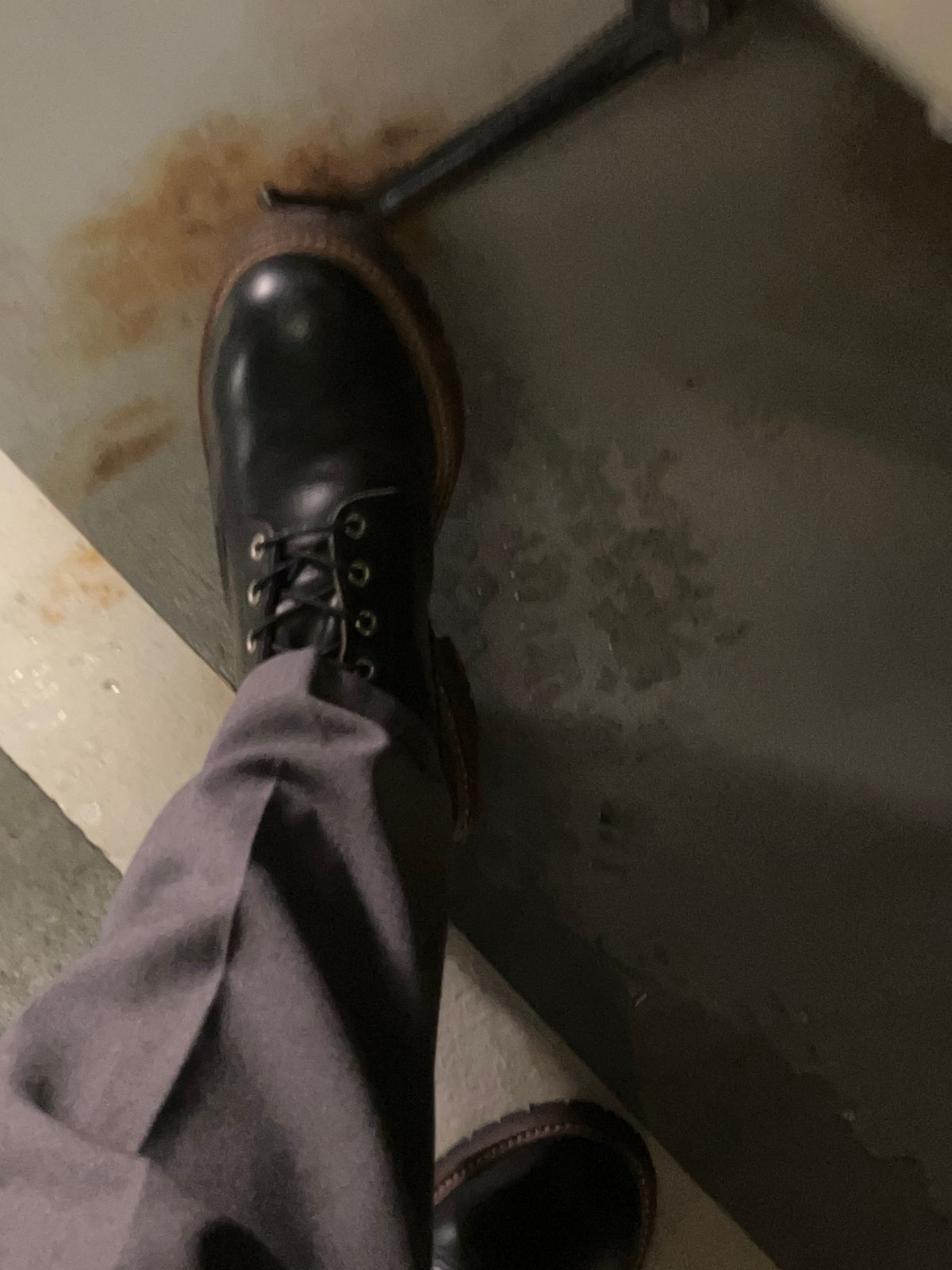 Photo by maru on May 30, 2025 of the Red Wing 8210 Logger Boots in S.B. Foot Black Chrome.