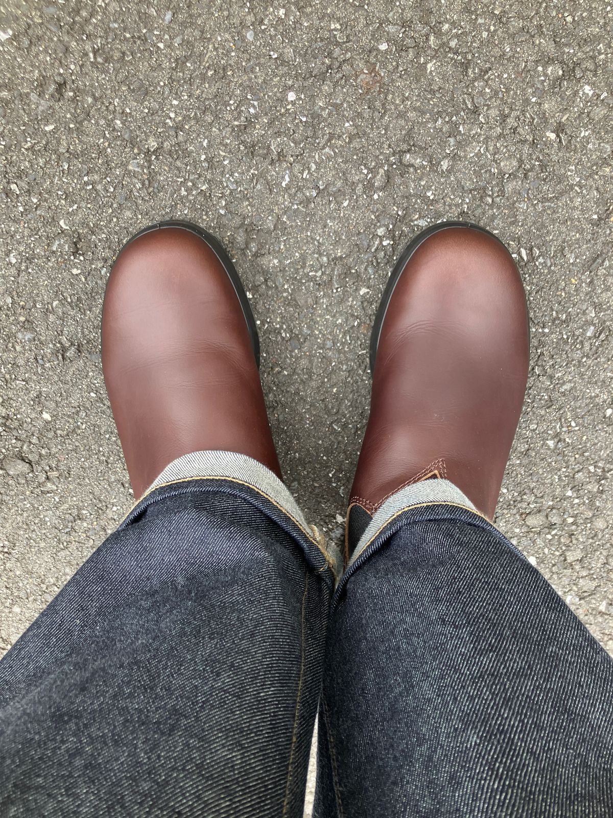 Photo by maru on March 15, 2025 of the Blundstone All TERRAIN in Blundstone / Cocoa Brown.