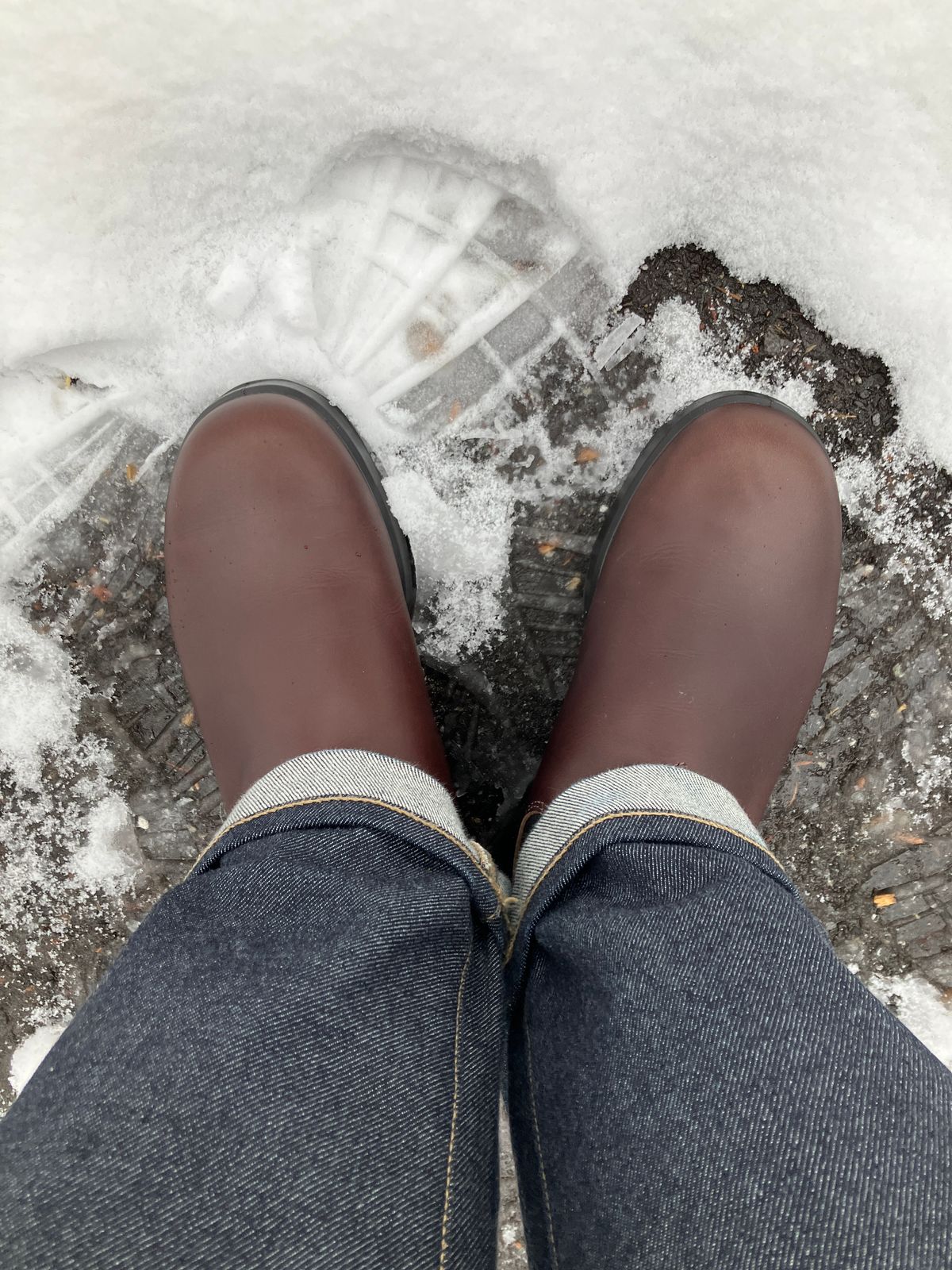 Photo by maru on March 15, 2025 of the Blundstone All TERRAIN in Blundstone / Cocoa Brown.