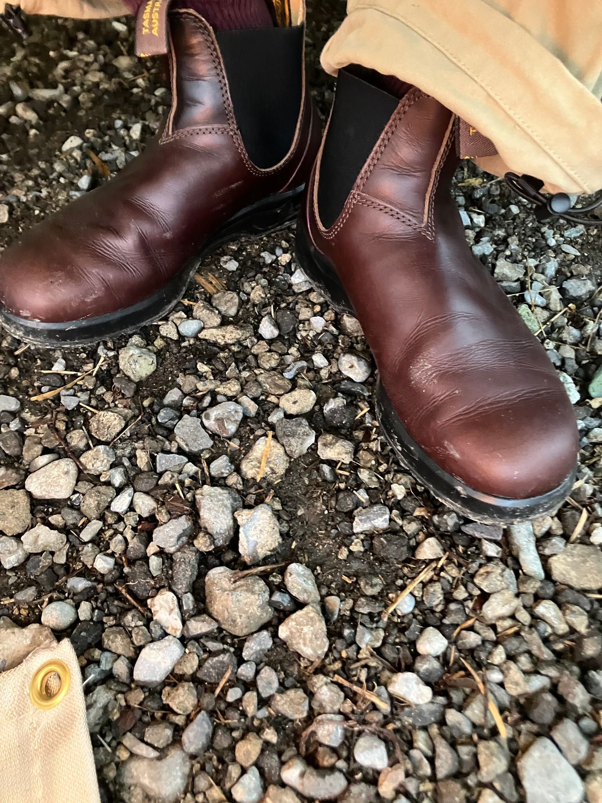 Photo by maru on March 29, 2025 of the Blundstone All TERRAIN in Blundstone / Cocoa Brown.