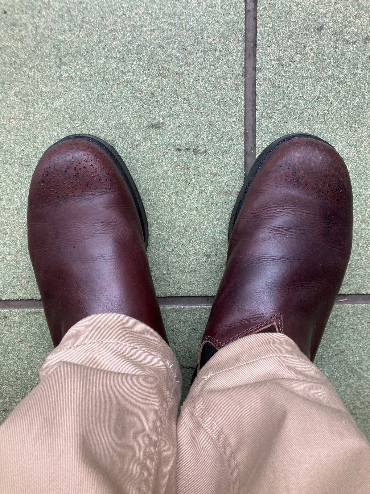 Photo by maru on April 23, 2025 of the Blundstone All TERRAIN in Blundstone / Cocoa Brown.