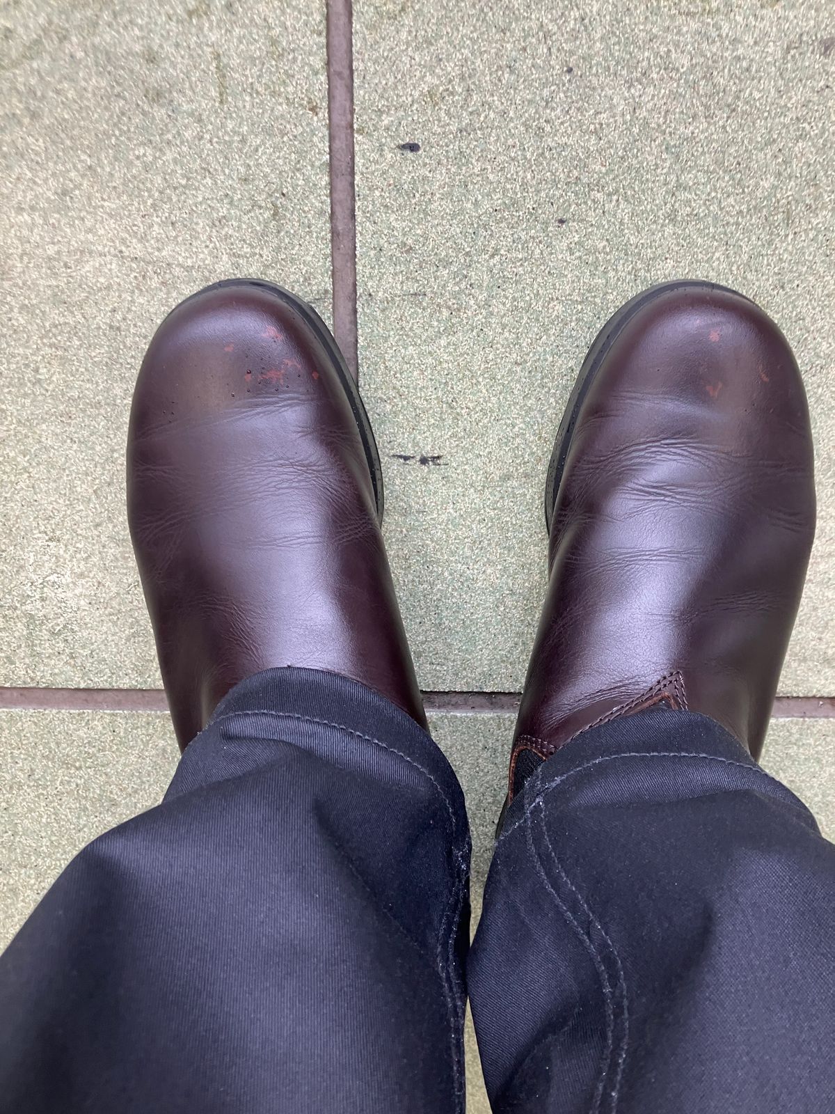 Photo by maru on June 25, 2025 of the Blundstone All TERRAIN in Blundstone / Cocoa Brown.