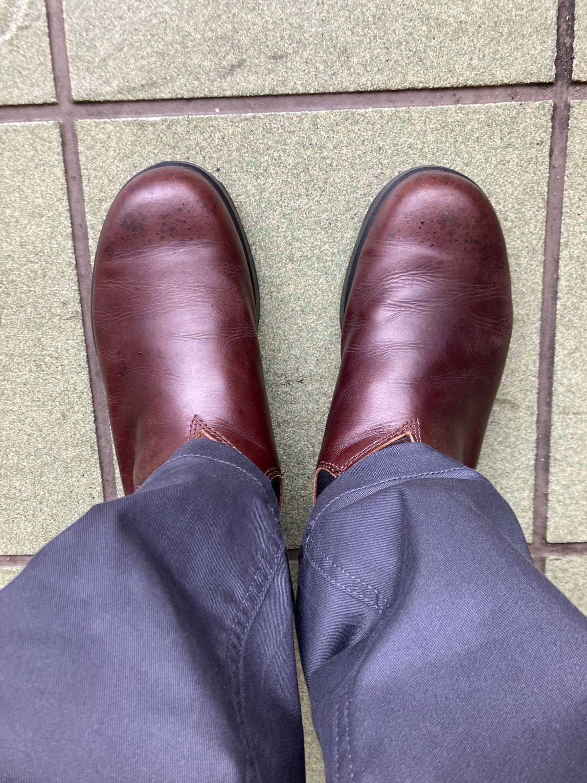 Photo by maru on July 14, 2025 of the Blundstone All TERRAIN in Blundstone / Cocoa Brown.