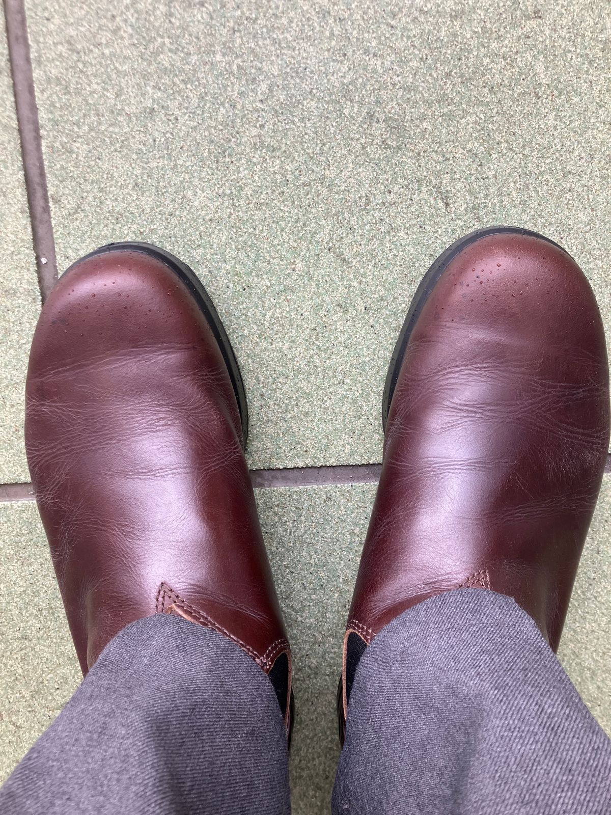 Photo by maru on May 30, 2025 of the Blundstone All TERRAIN in Blundstone / Cocoa Brown.