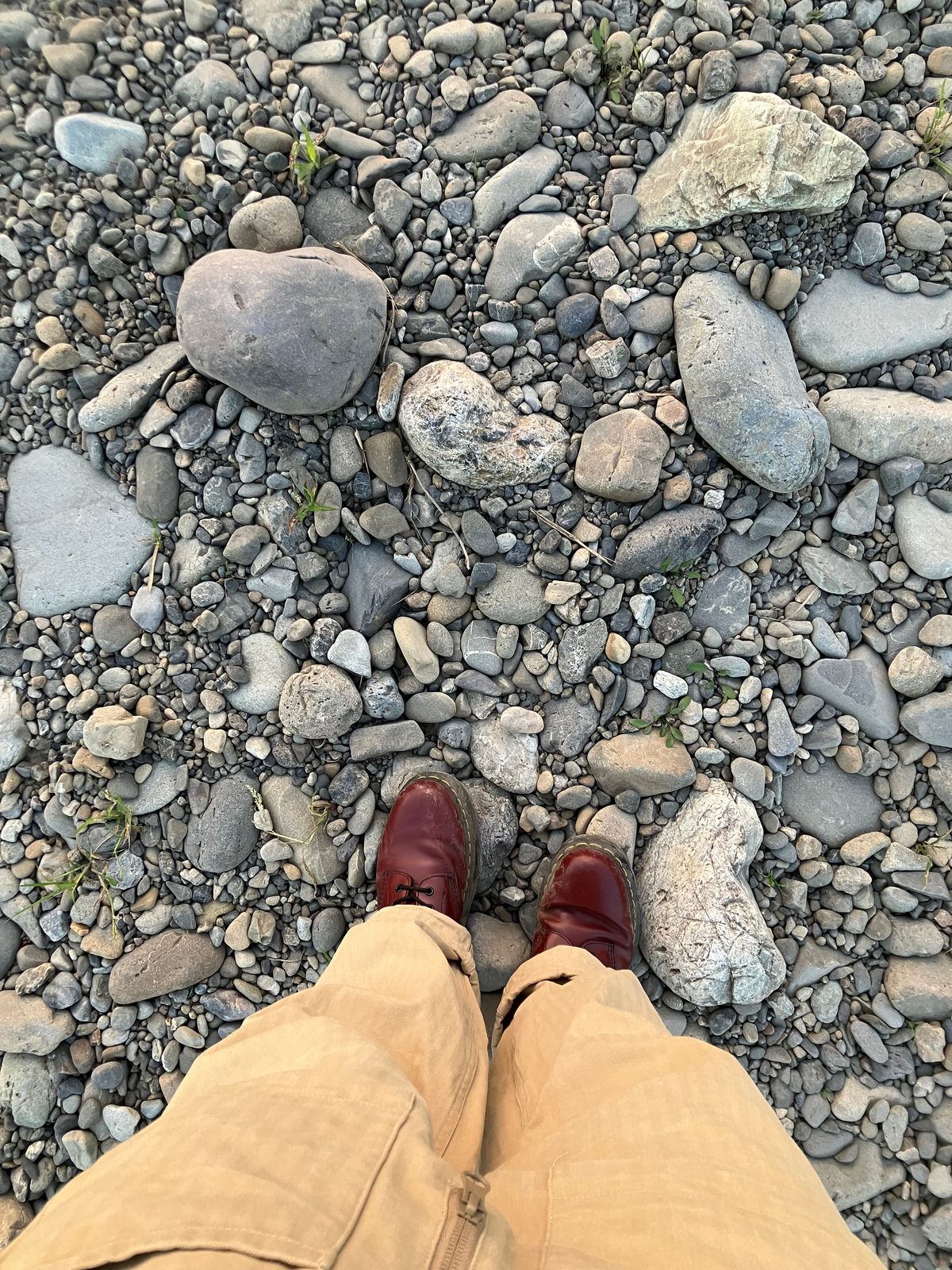Photo by maru on October 14, 2024 of the Dr. Martens 1460 8Hole Boots in Dr. Martens Smooth Leather Cherry Red.