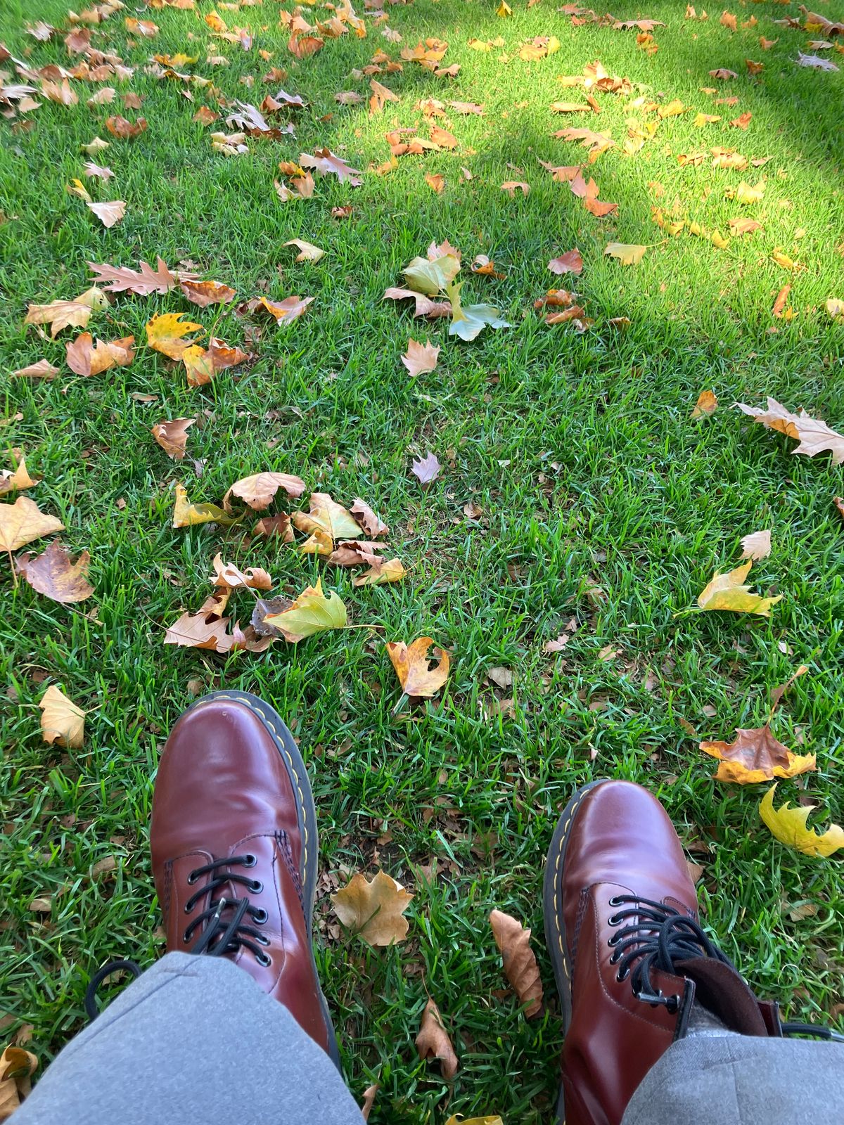 Photo by maru on October 30, 2024 of the Dr. Martens 1460 8Hole Boots in Dr. Martens Smooth Leather Cherry Red.