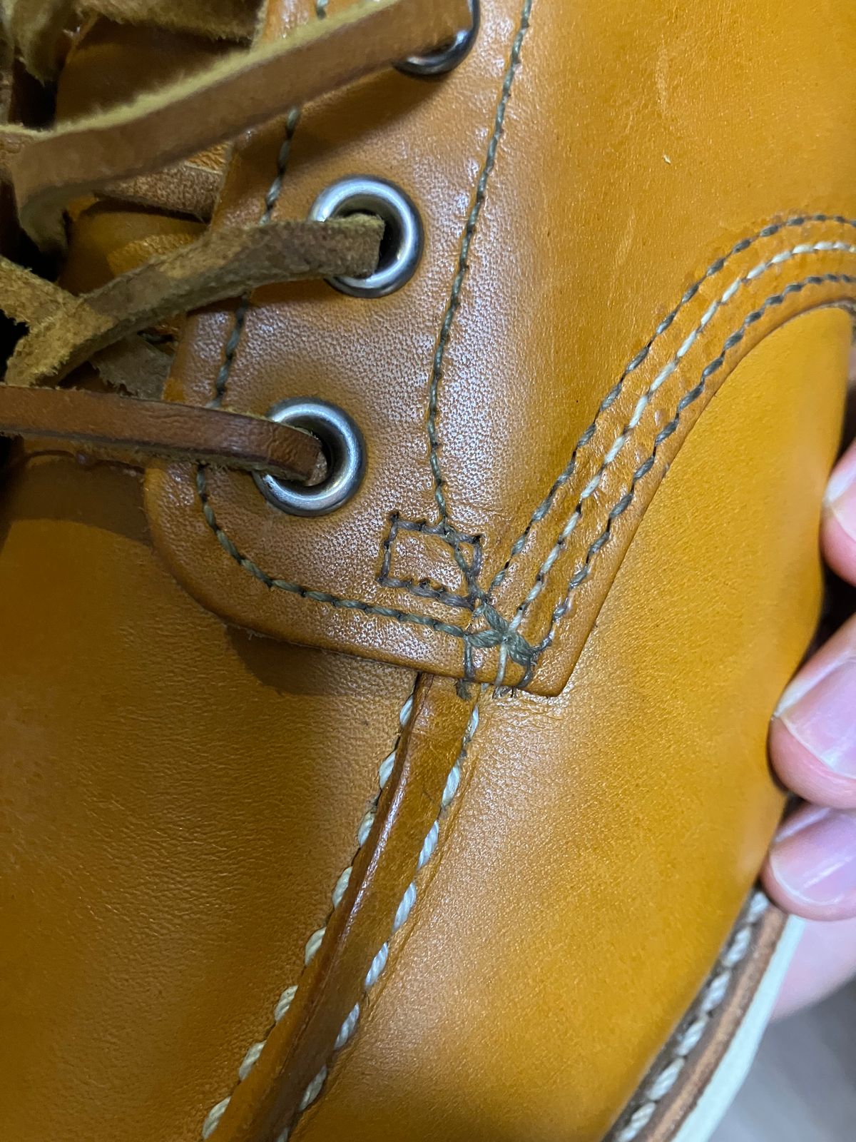 Photo by maru on September 20, 2024 of the Red Wing 6-Inch Classic Moc in S.B. Foot Sequoia Gold Russet.