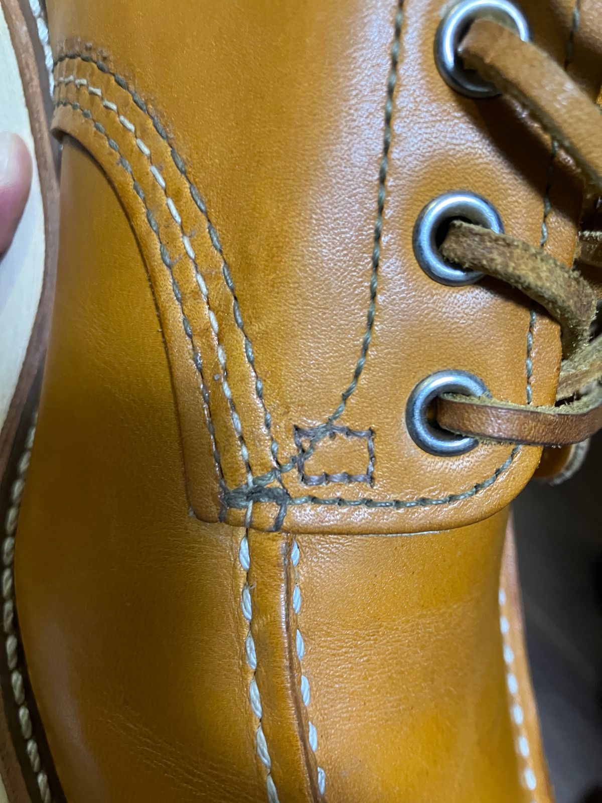 Photo by maru on September 20, 2024 of the Red Wing 6-Inch Classic Moc in S.B. Foot Sequoia Gold Russet.