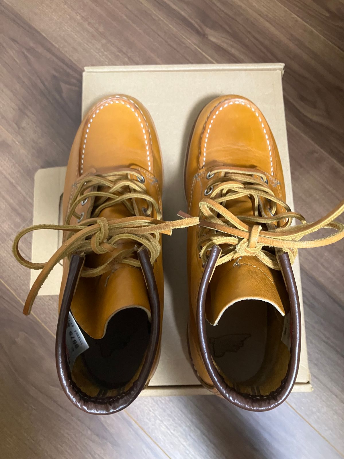 Photo by maru on September 20, 2024 of the Red Wing 6-Inch Classic Moc in S.B. Foot Sequoia Gold Russet.