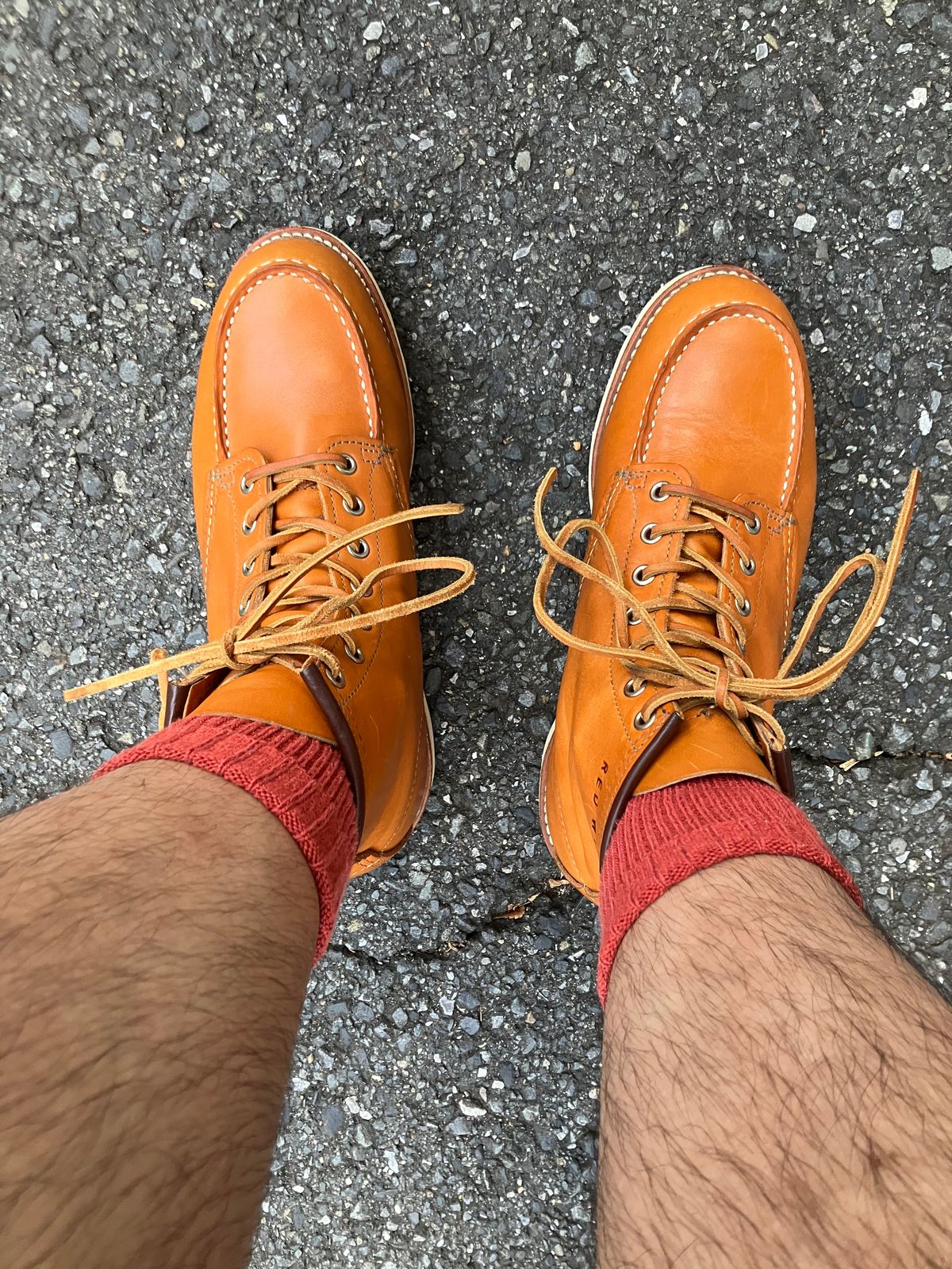 Photo by maru on September 23, 2024 of the Red Wing 6-Inch Classic Moc in S.B. Foot Sequoia Gold Russet.