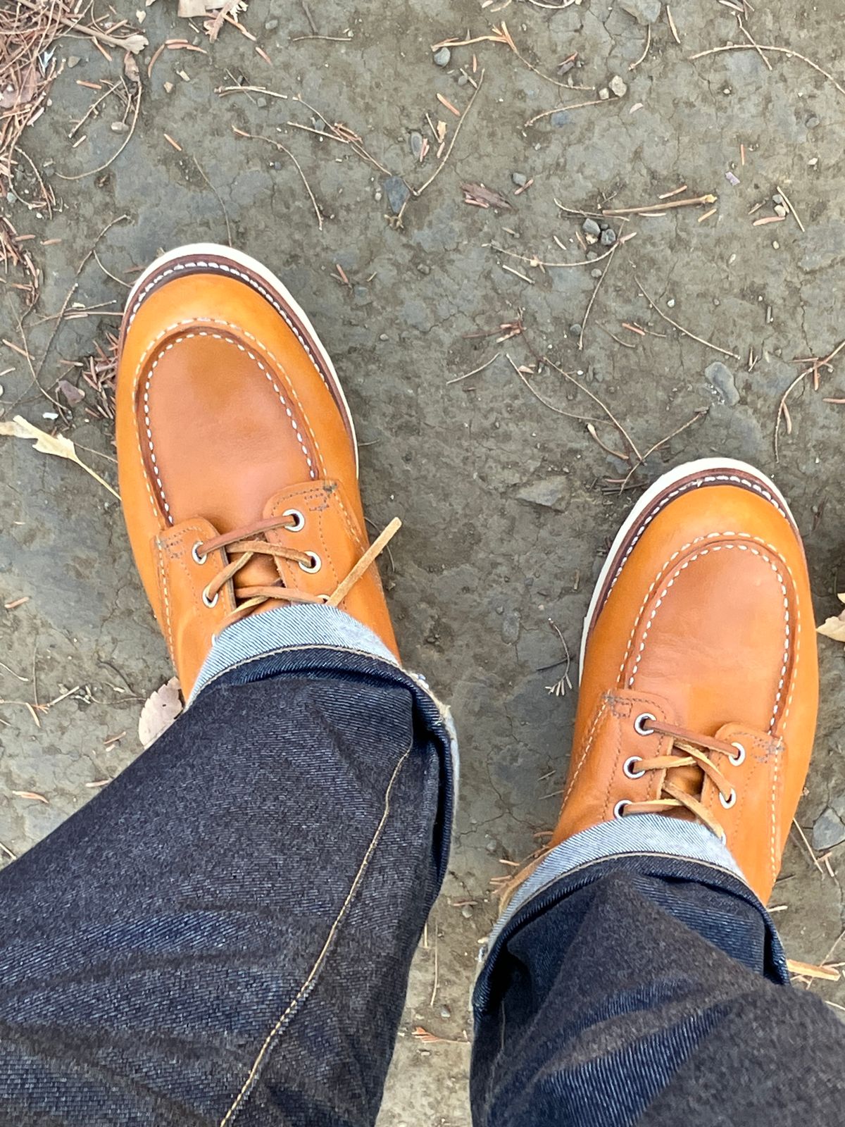 Photo by maru on December 22, 2024 of the Red Wing 6-Inch Classic Moc in S.B. Foot Sequoia Gold Russet.