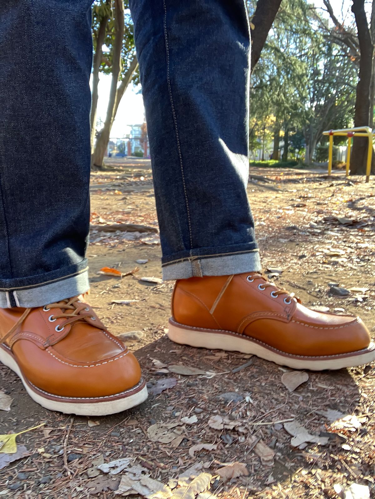 Photo by maru on December 22, 2024 of the Red Wing 6-Inch Classic Moc in S.B. Foot Sequoia Gold Russet.