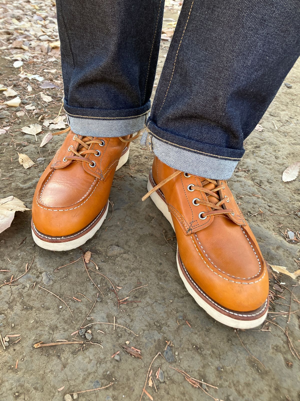 Photo by maru on December 22, 2024 of the Red Wing 6-Inch Classic Moc in S.B. Foot Sequoia Gold Russet.