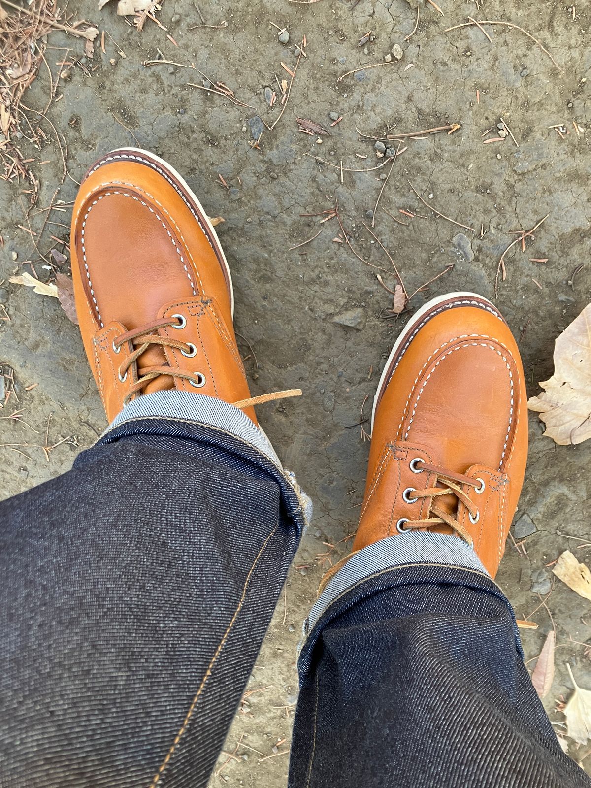 Photo by maru on December 22, 2024 of the Red Wing 6-Inch Classic Moc in S.B. Foot Sequoia Gold Russet.