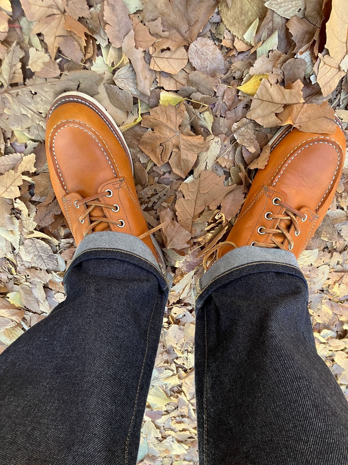 Photo by maru on December 22, 2024 of the Red Wing 6-Inch Classic Moc in S.B. Foot Sequoia Gold Russet.