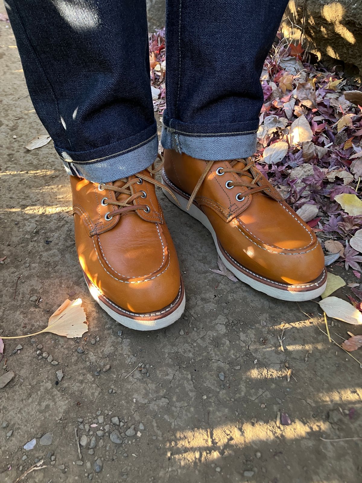 Photo by maru on December 22, 2024 of the Red Wing 6-Inch Classic Moc in S.B. Foot Sequoia Gold Russet.