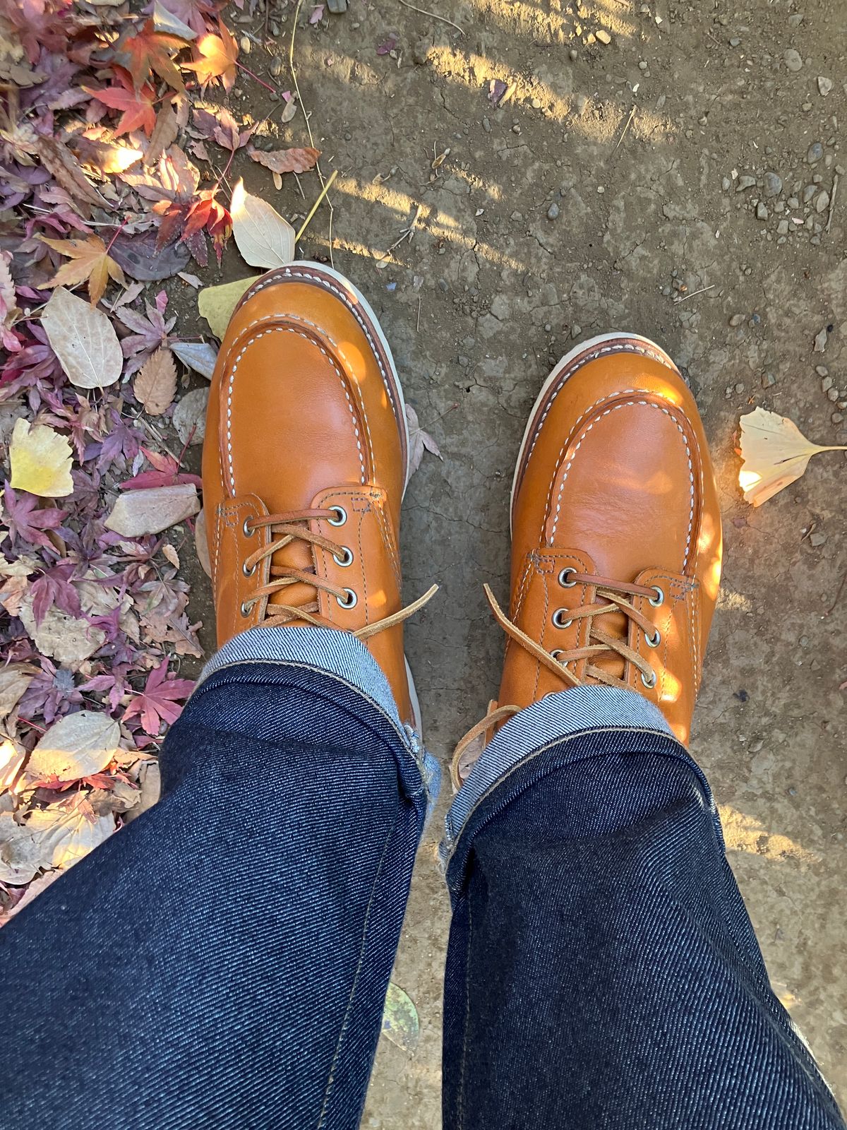 Photo by maru on December 22, 2024 of the Red Wing 6-Inch Classic Moc in S.B. Foot Sequoia Gold Russet.