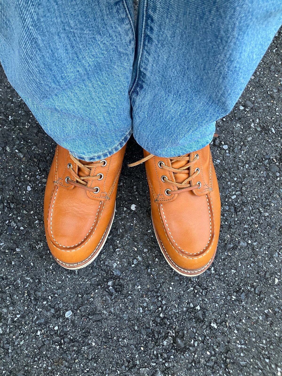 Photo by maru on December 28, 2024 of the Red Wing 6-Inch Classic Moc in S.B. Foot Sequoia Gold Russet.