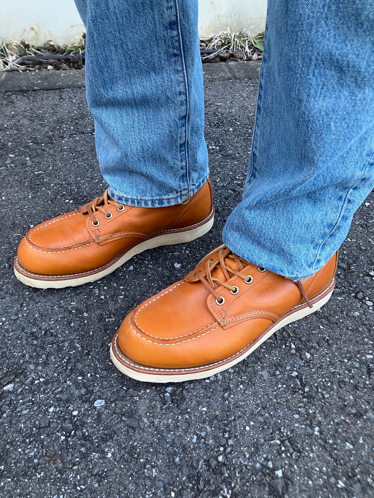 Photo by maru on December 28, 2024 of the Red Wing 6-Inch Classic Moc in S.B. Foot Sequoia Gold Russet.