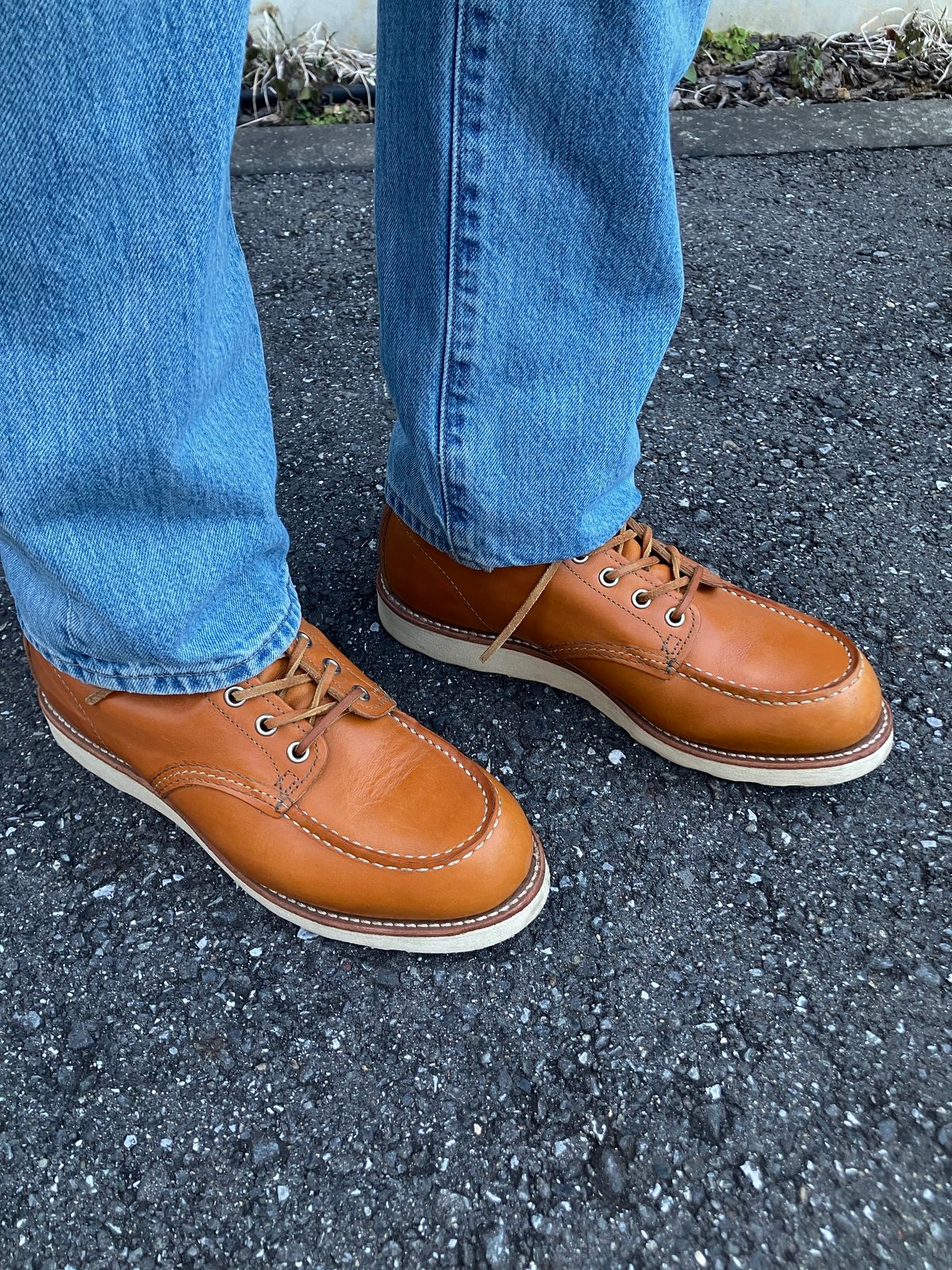 Photo by maru on December 28, 2024 of the Red Wing 6-Inch Classic Moc in S.B. Foot Sequoia Gold Russet.