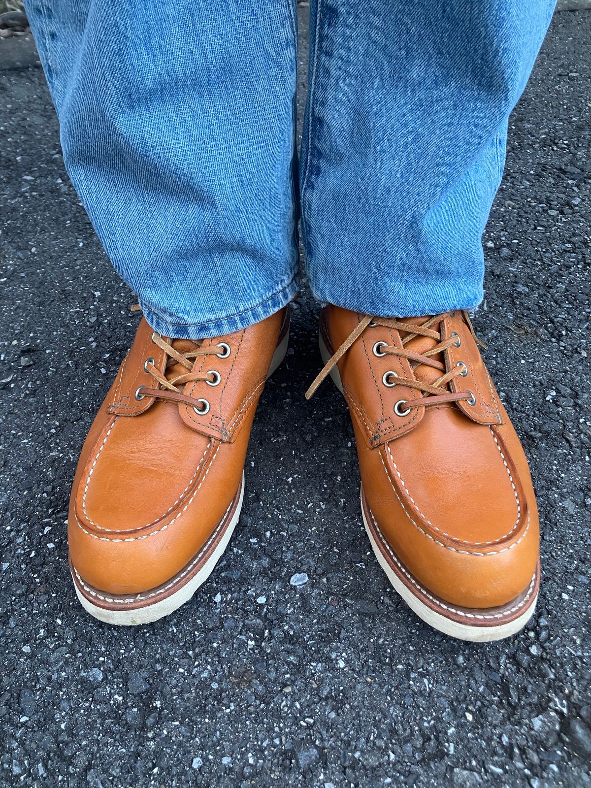 Photo by maru on December 28, 2024 of the Red Wing 6-Inch Classic Moc in S.B. Foot Sequoia Gold Russet.