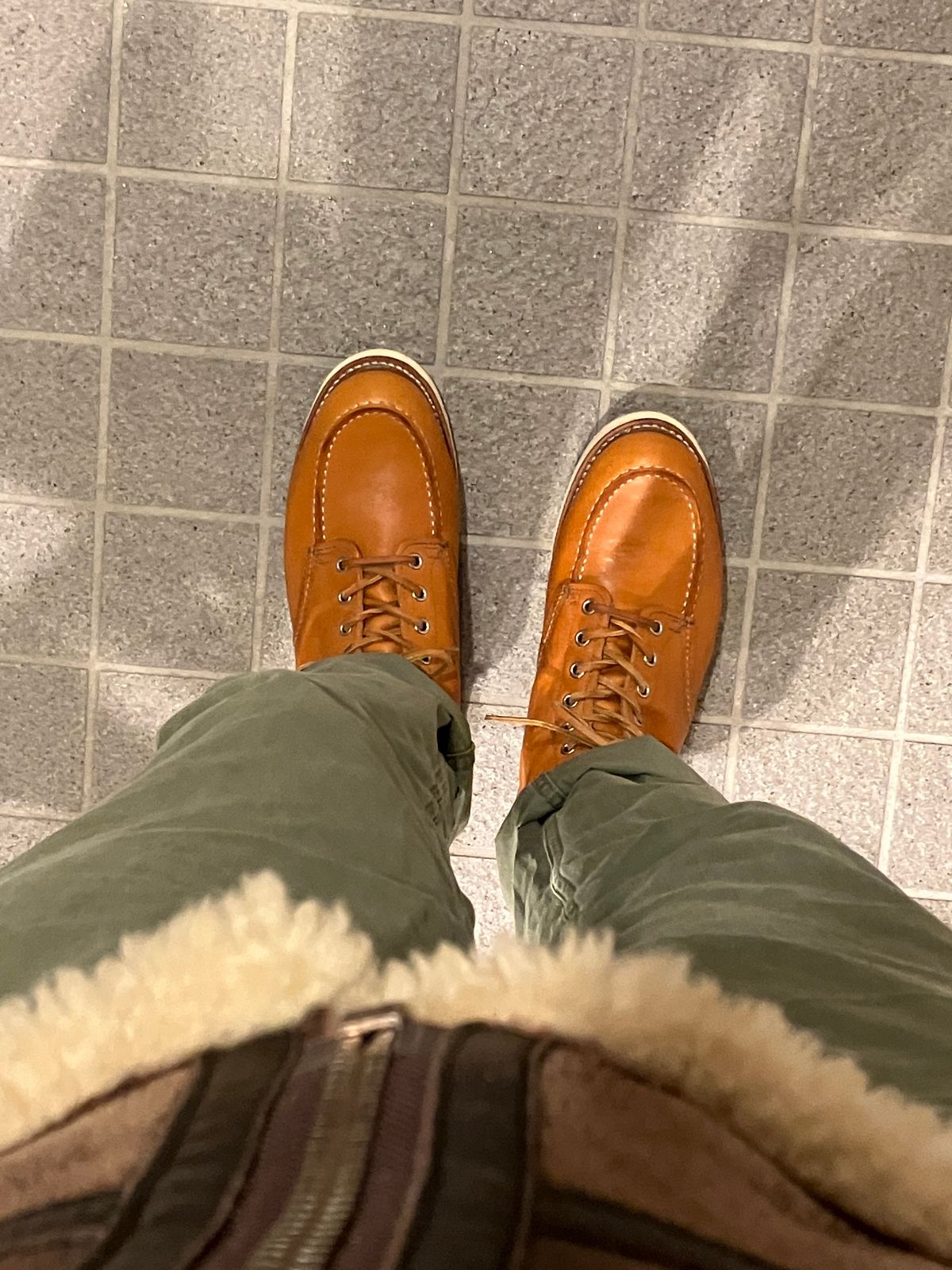 Photo by maru on December 15, 2024 of the Red Wing 6-Inch Classic Moc in S.B. Foot Sequoia Gold Russet.