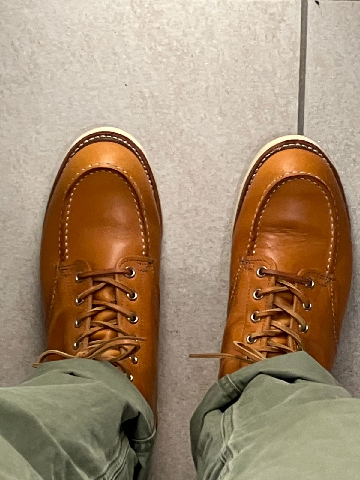 Photo by maru on December 15, 2024 of the Red Wing 6-Inch Classic Moc in S.B. Foot Sequoia Gold Russet.