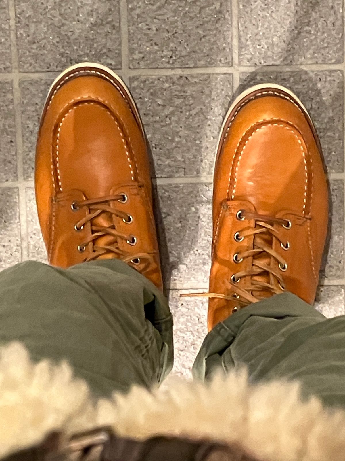 Photo by maru on December 15, 2024 of the Red Wing 6-Inch Classic Moc in S.B. Foot Sequoia Gold Russet.