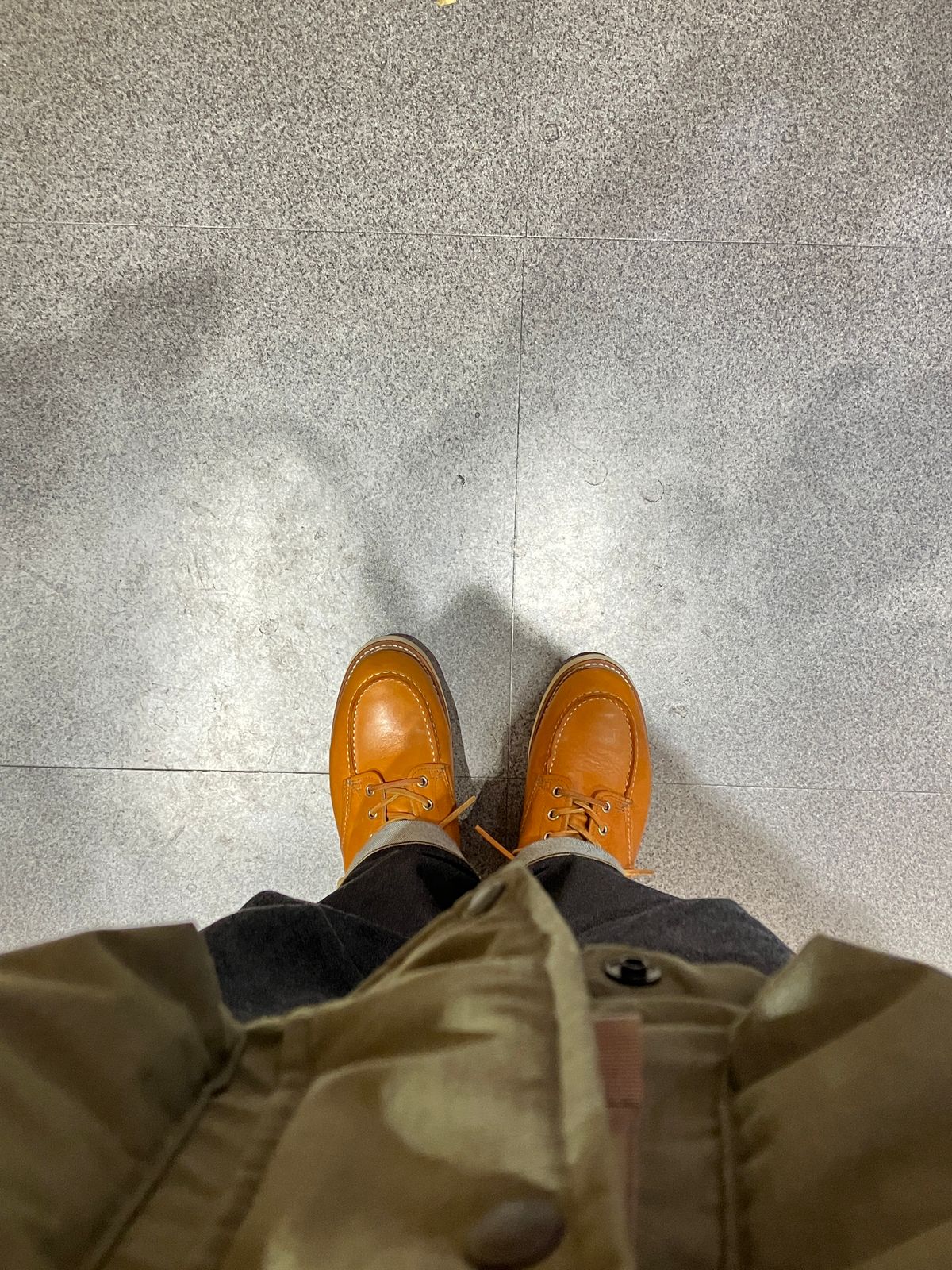 Photo by maru on December 22, 2024 of the Red Wing 6-Inch Classic Moc in S.B. Foot Sequoia Gold Russet.