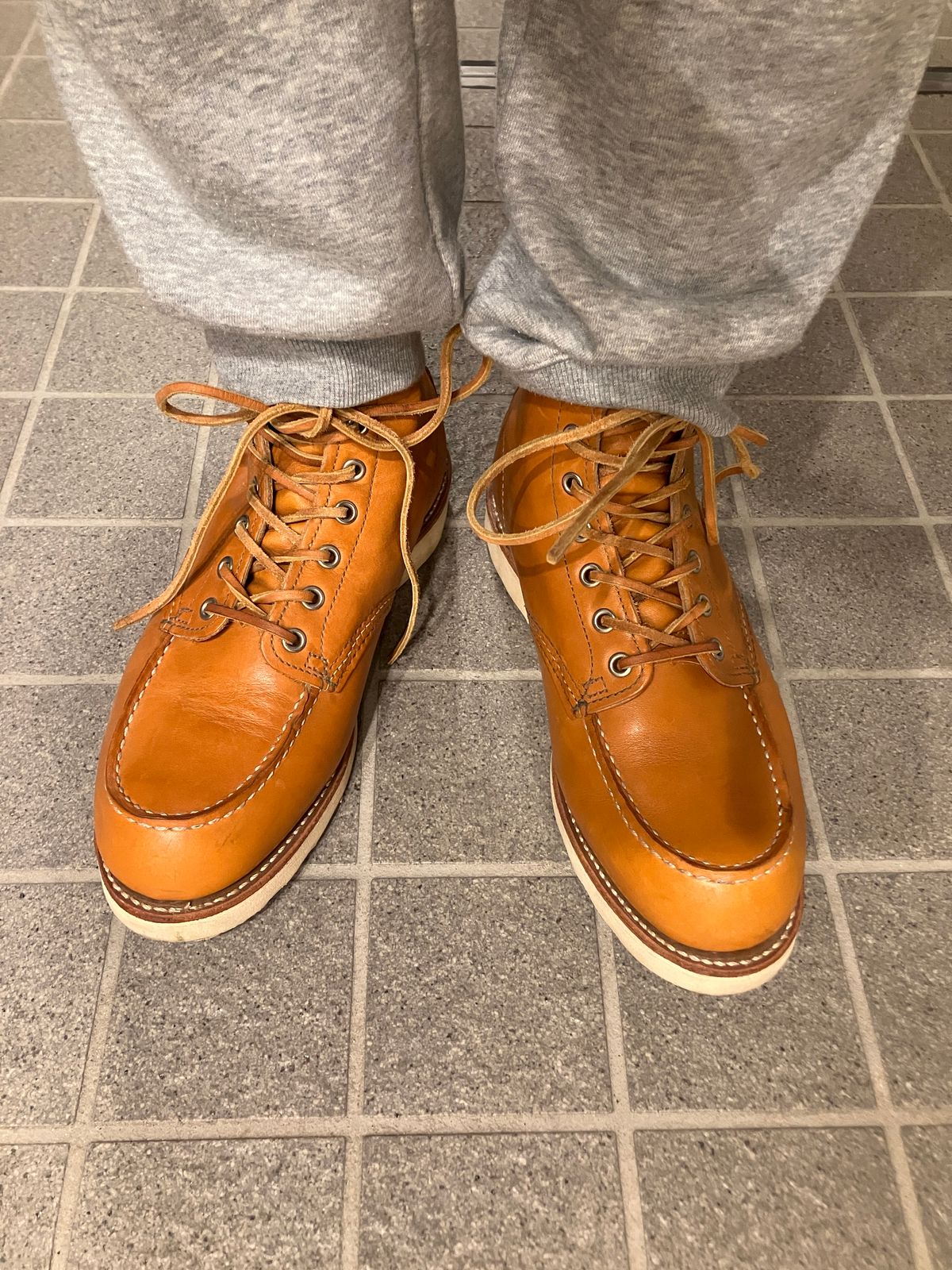 Photo by maru on January 2, 2025 of the Red Wing 6-Inch Classic Moc in S.B. Foot Sequoia Gold Russet.