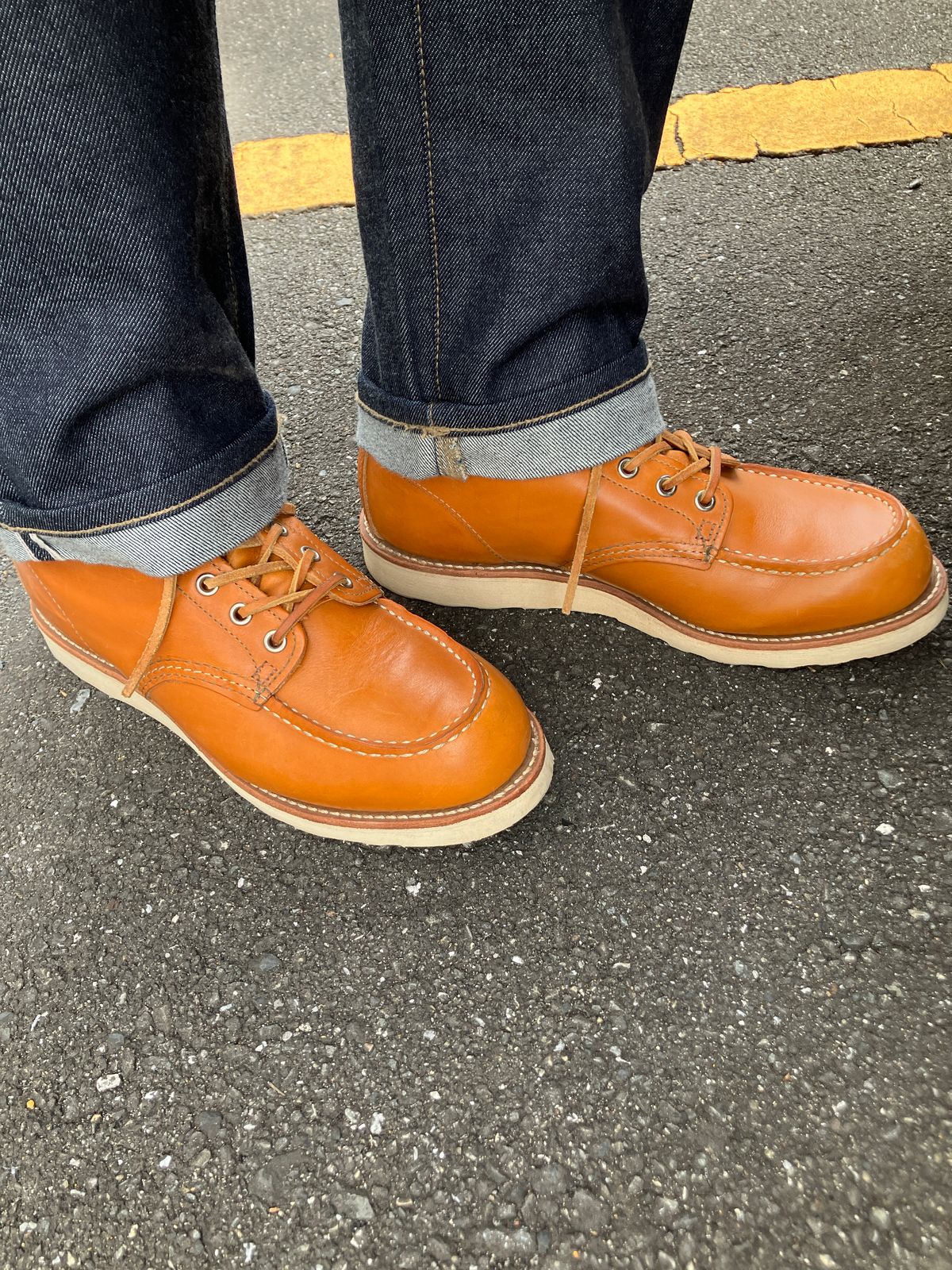 Photo by maru on January 12, 2025 of the Red Wing 6-Inch Classic Moc in S.B. Foot Sequoia Gold Russet.