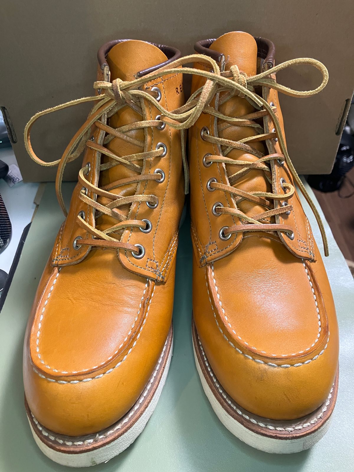 Photo by maru on January 13, 2025 of the Red Wing 6-Inch Classic Moc in S.B. Foot Sequoia Gold Russet.