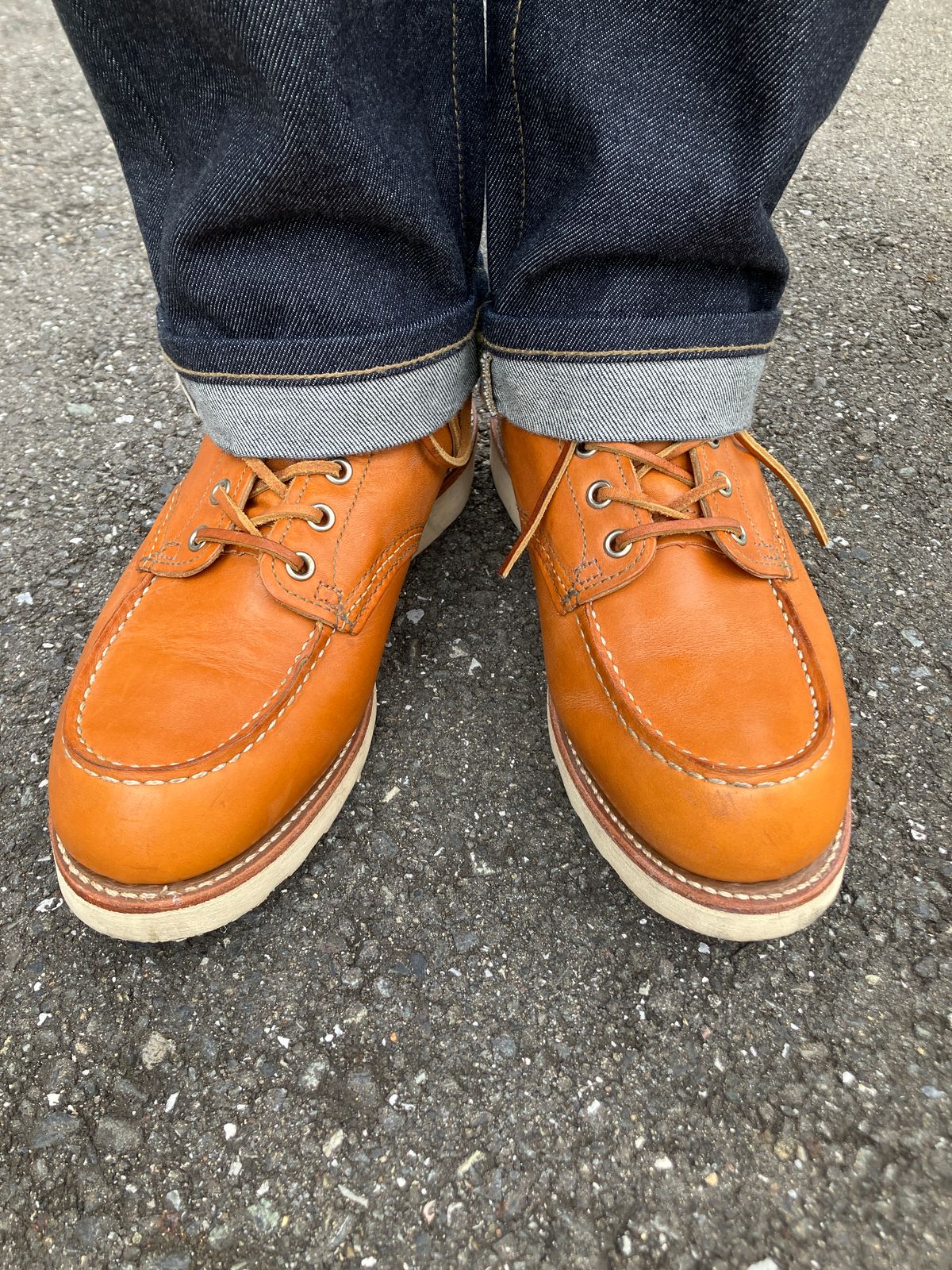 Photo by maru on January 19, 2025 of the Red Wing 6-Inch Classic Moc in S.B. Foot Sequoia Gold Russet.